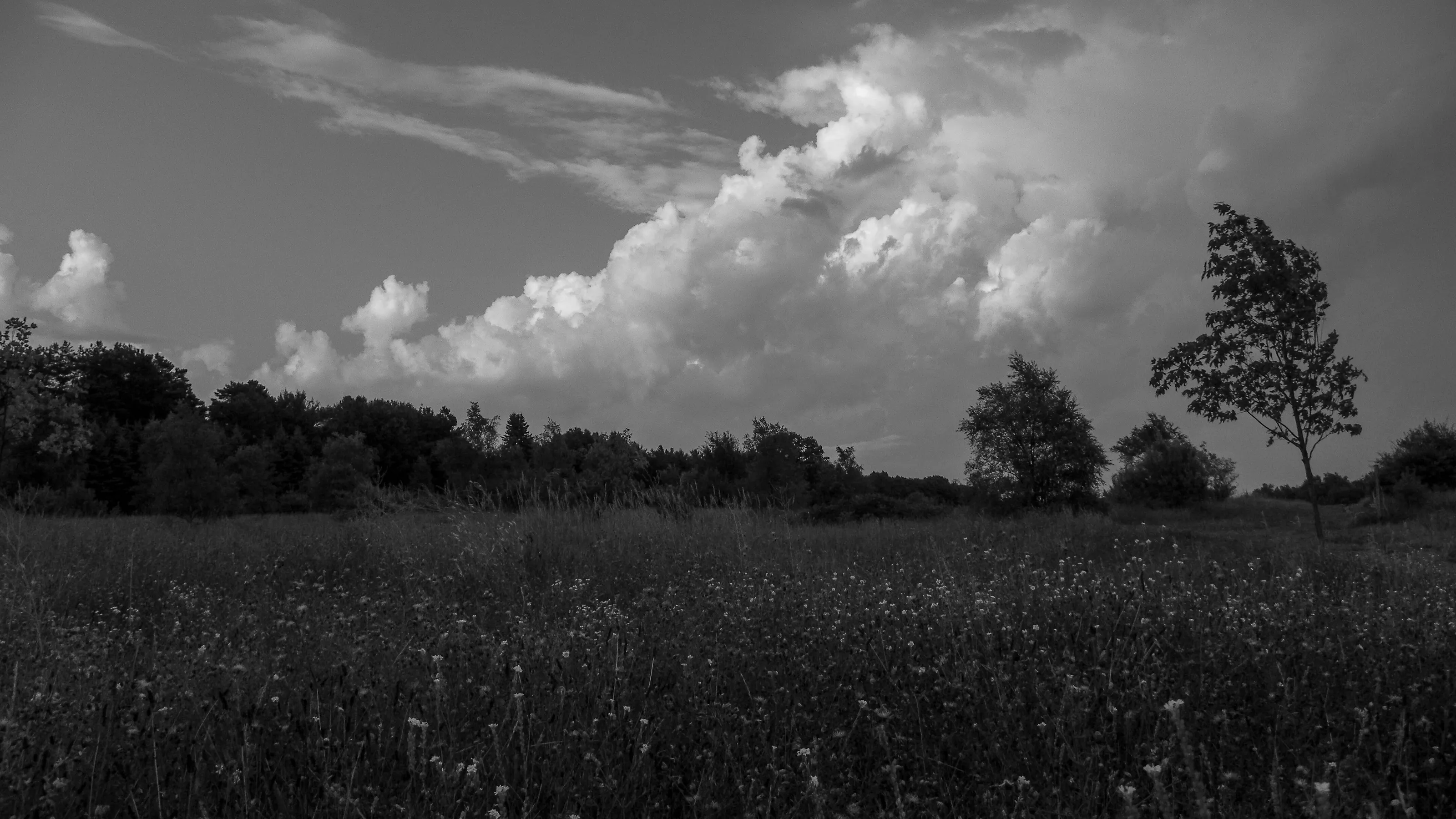 Clouds Rolling In