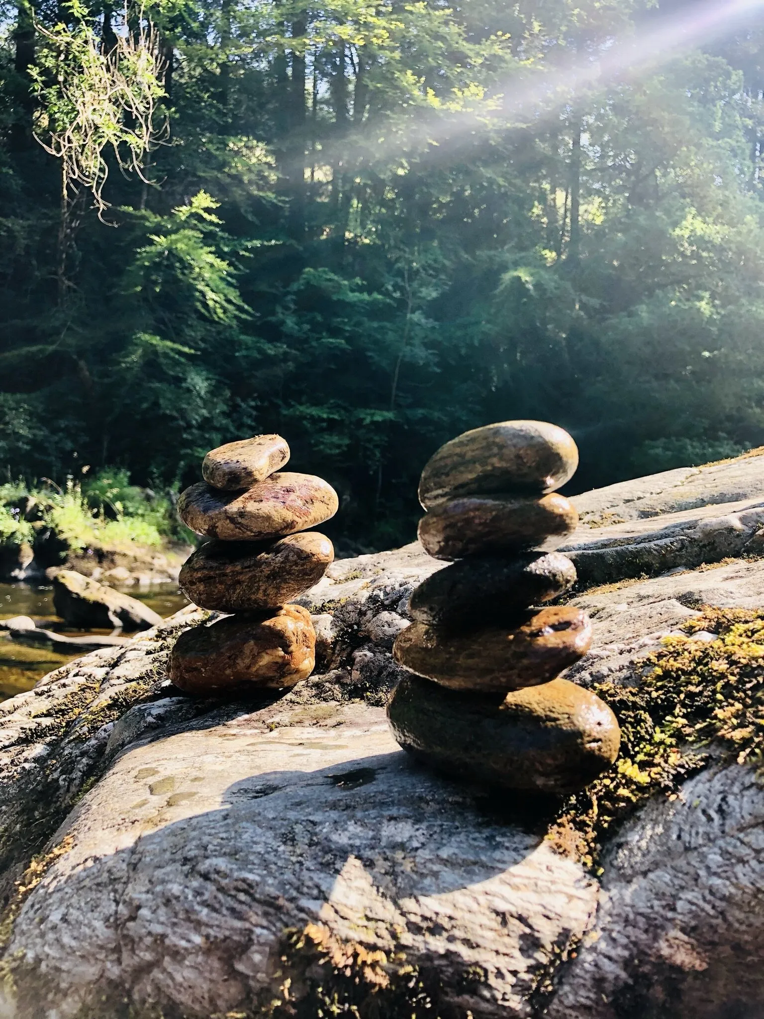 Pebbles on the River Braan