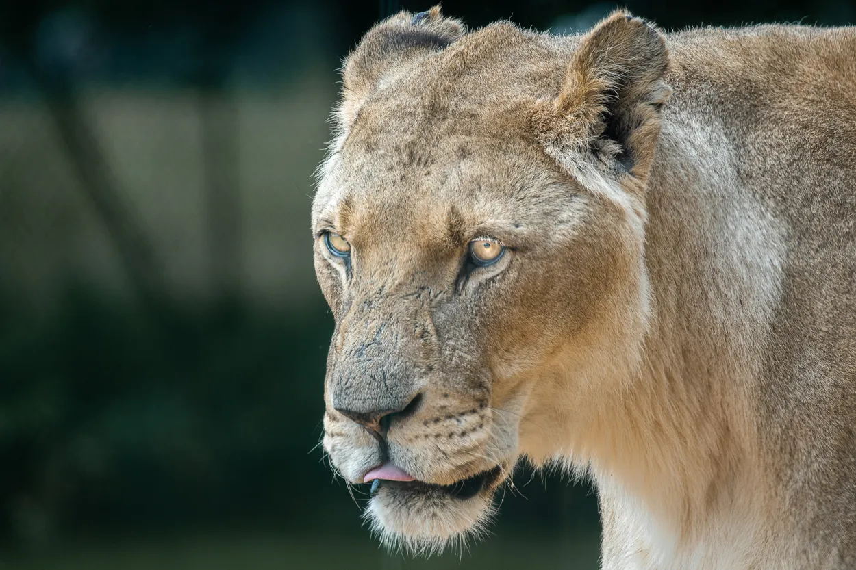 Entry 10269397