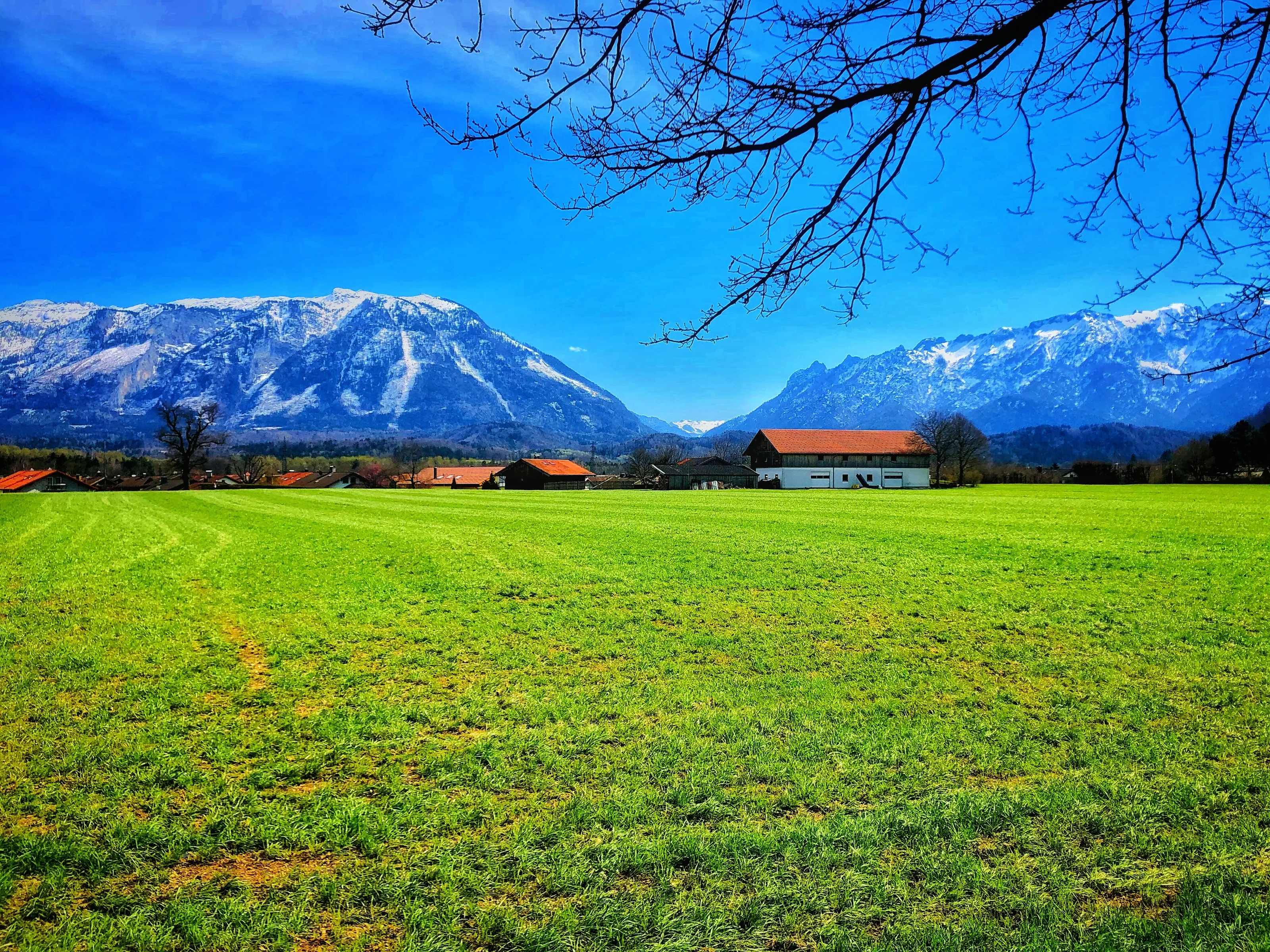 Beauty of Alps