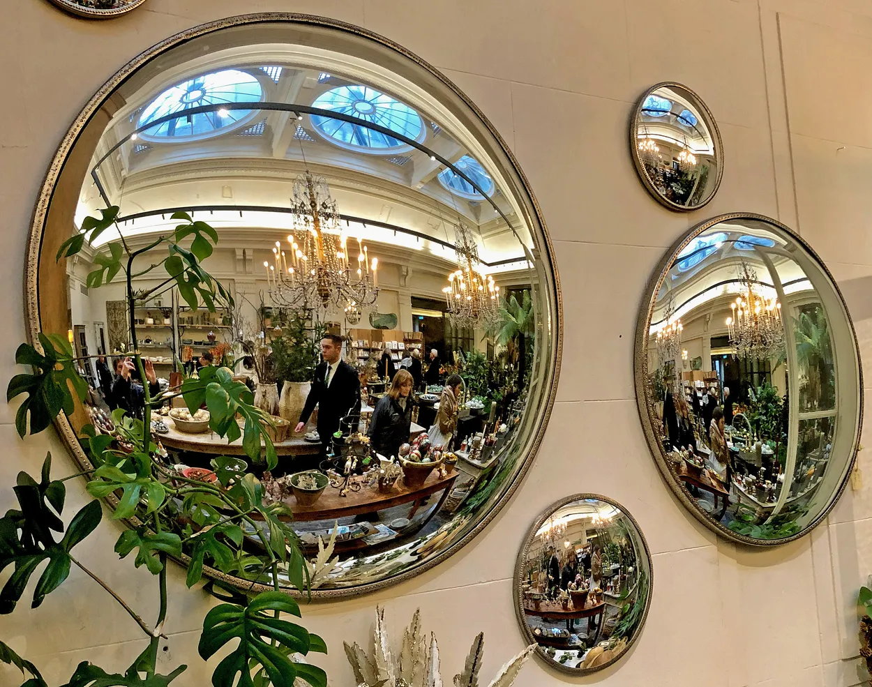 Entry 13272117