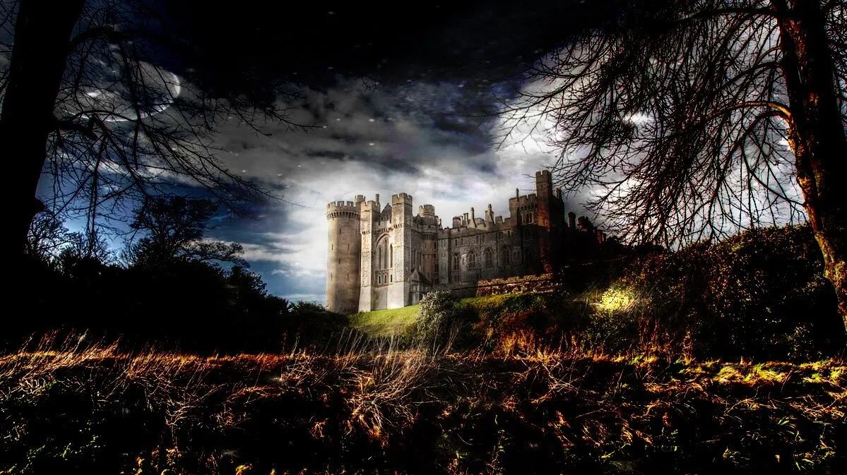 Entry 13711759