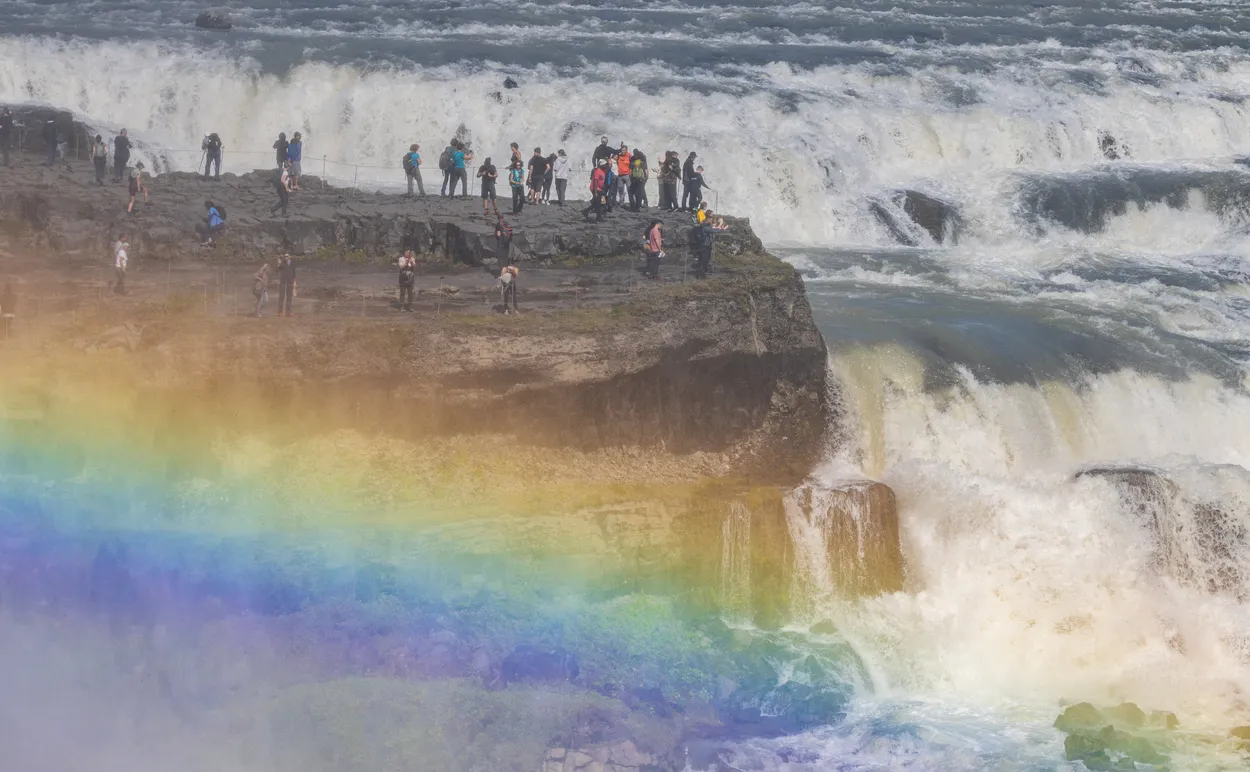 Entry 11622728