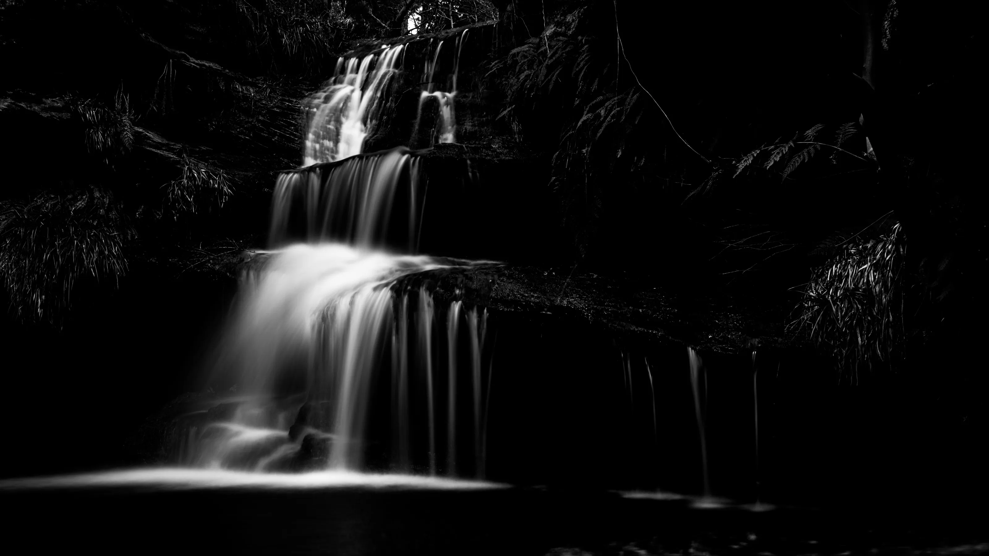 Roughting Linn