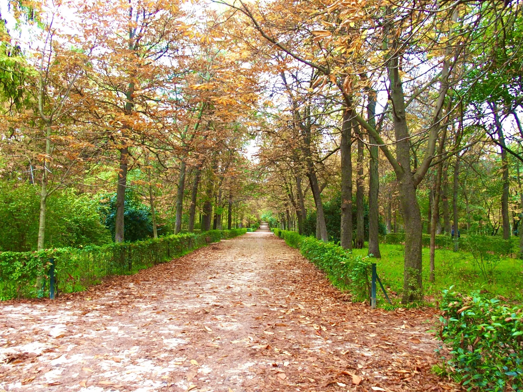 A Stroll in Spain