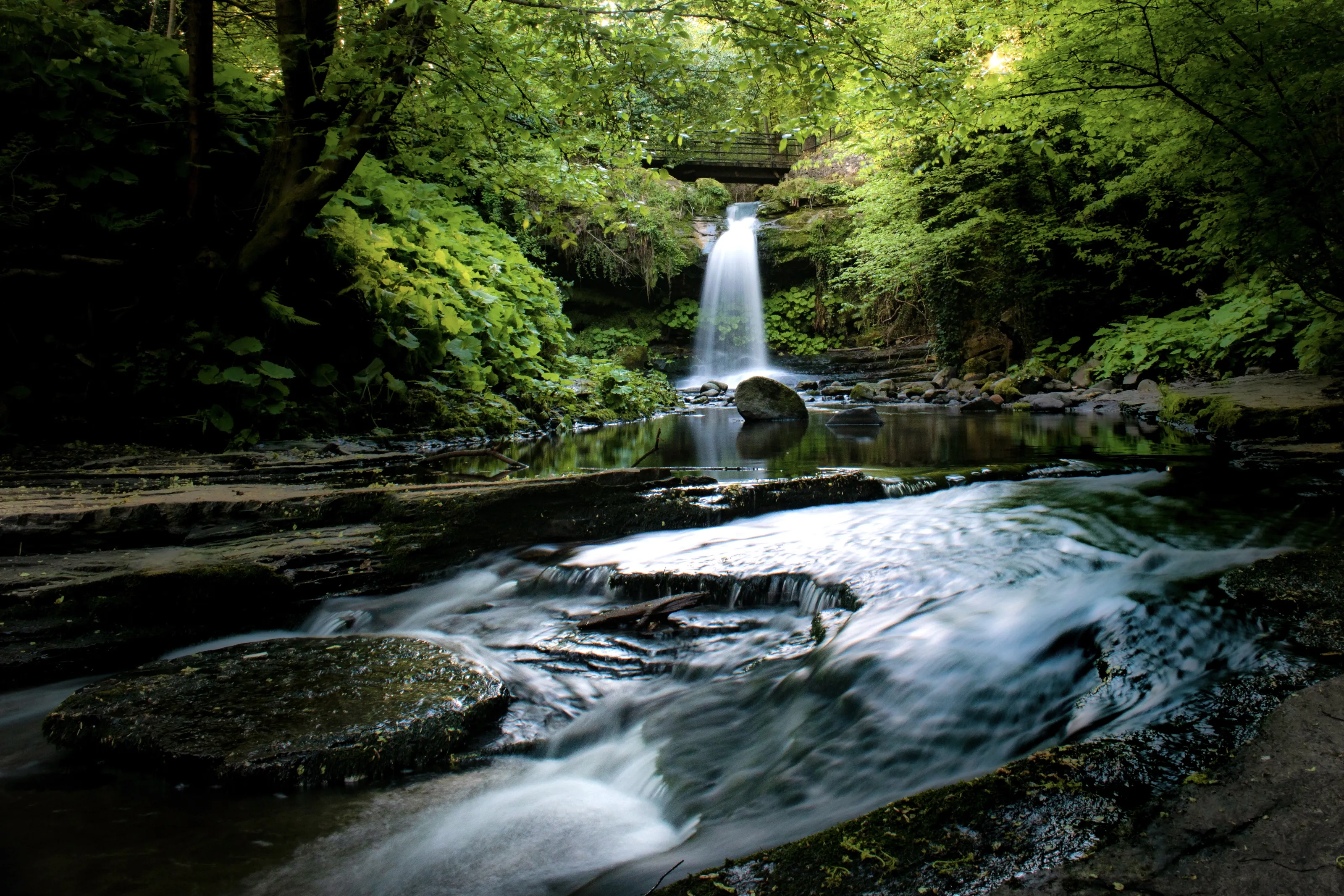 Waterfall in the Woods
