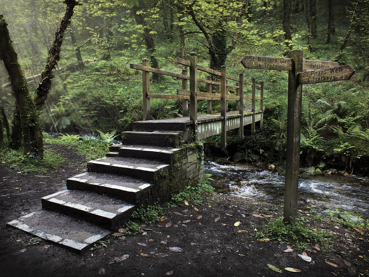 Entry 13050681
