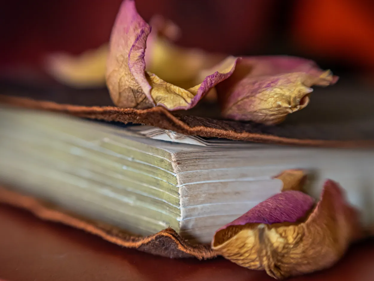 Vintage book