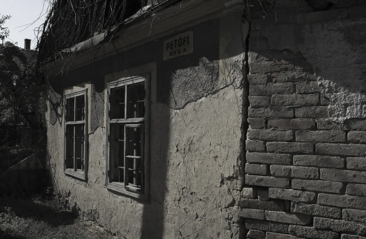 Entry 10315572
