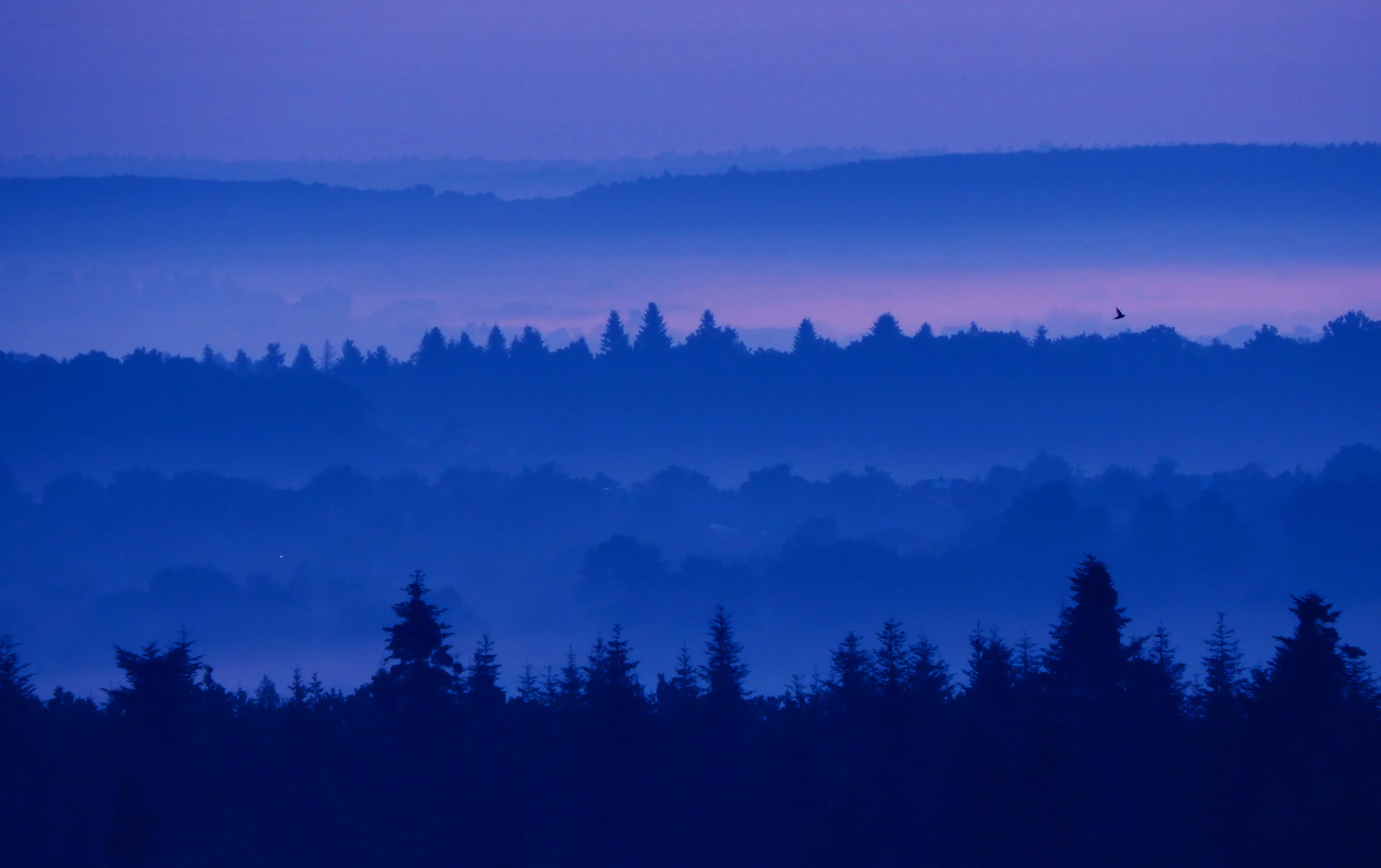 Blue hour