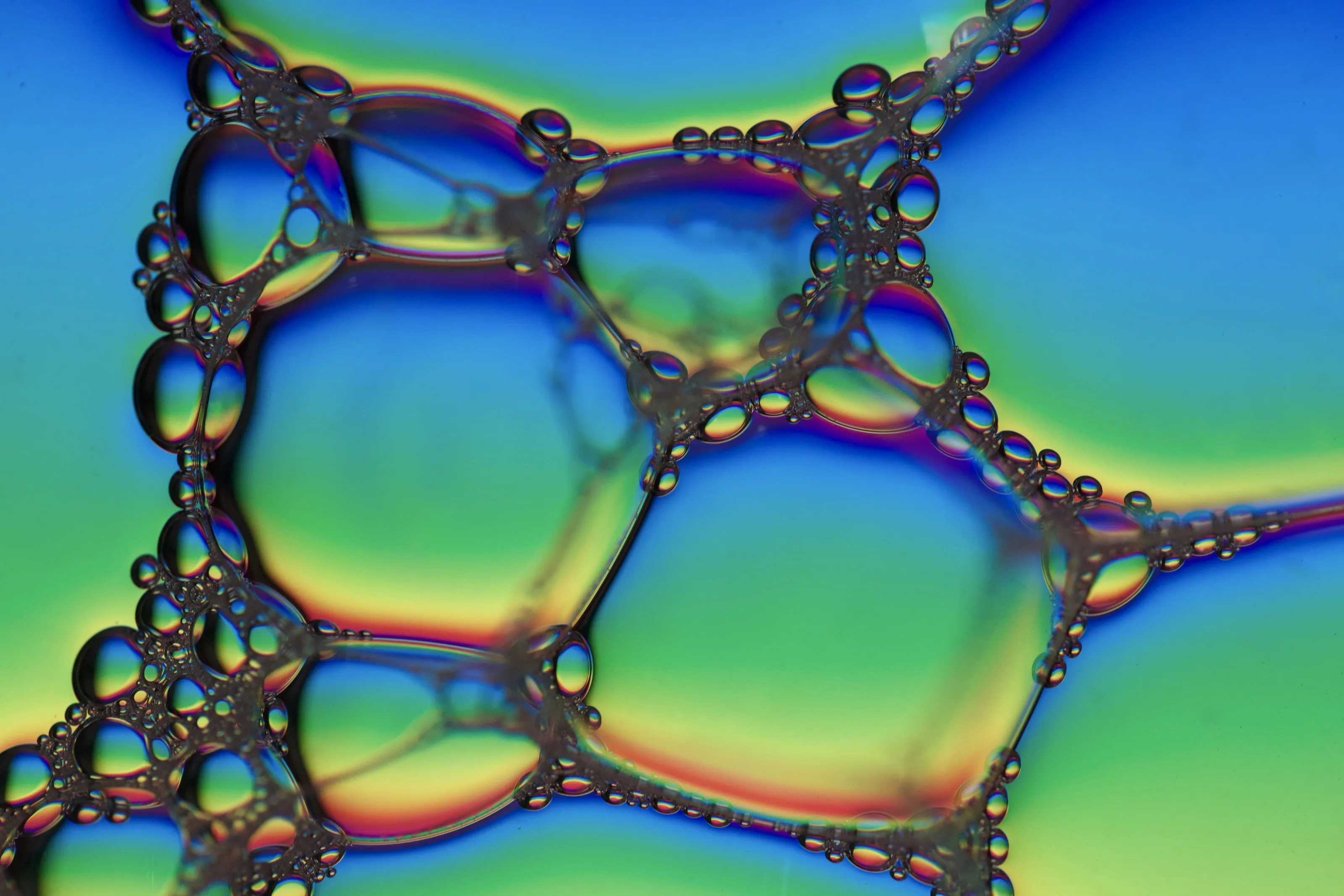 Bubbles Floating on the Water