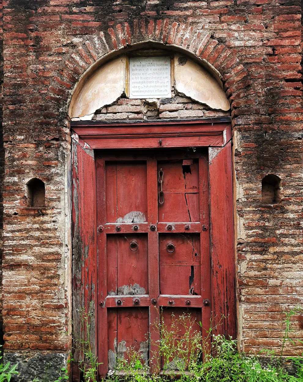 Entry 11291305