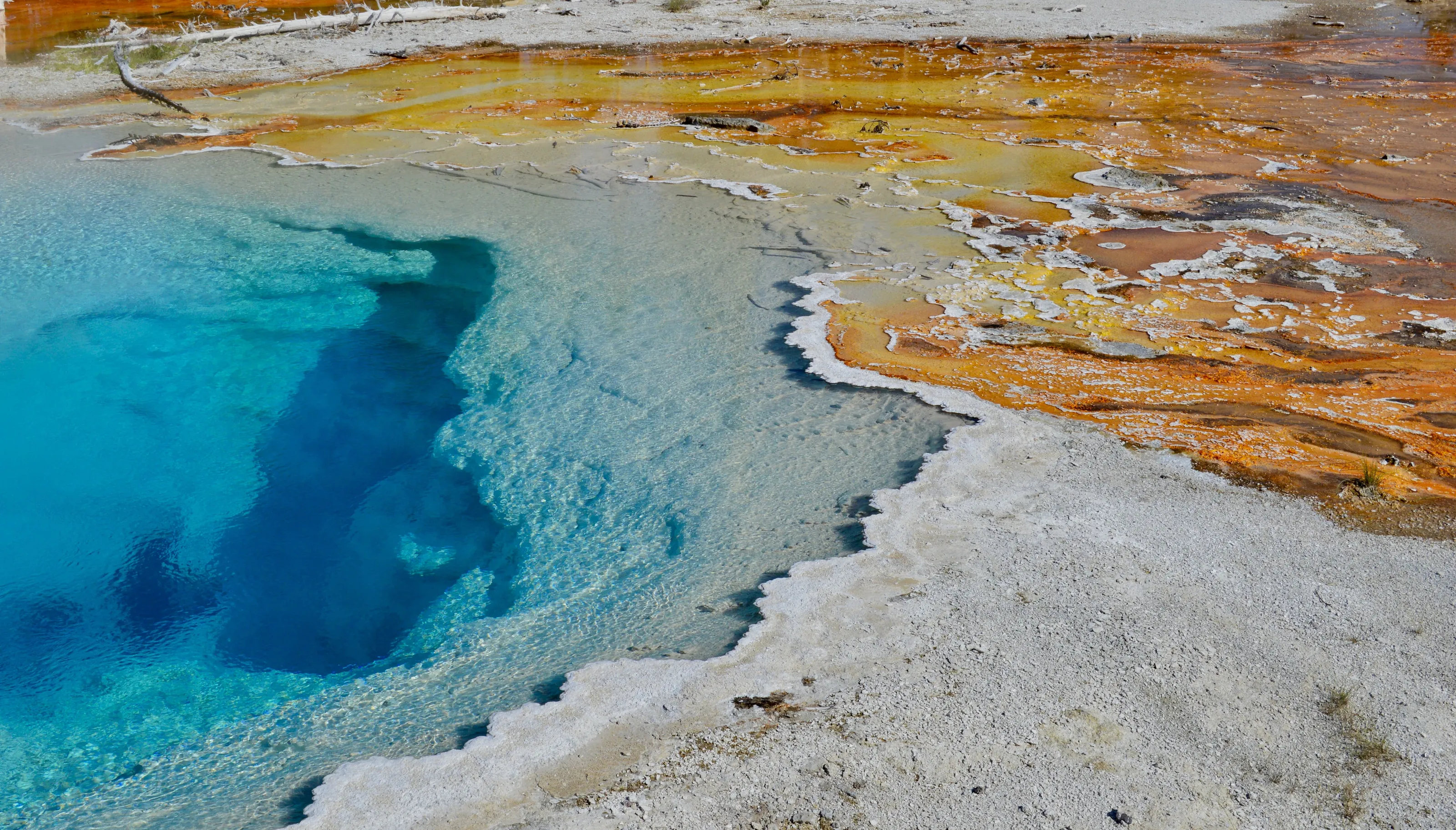 Mammoth Hot Springs