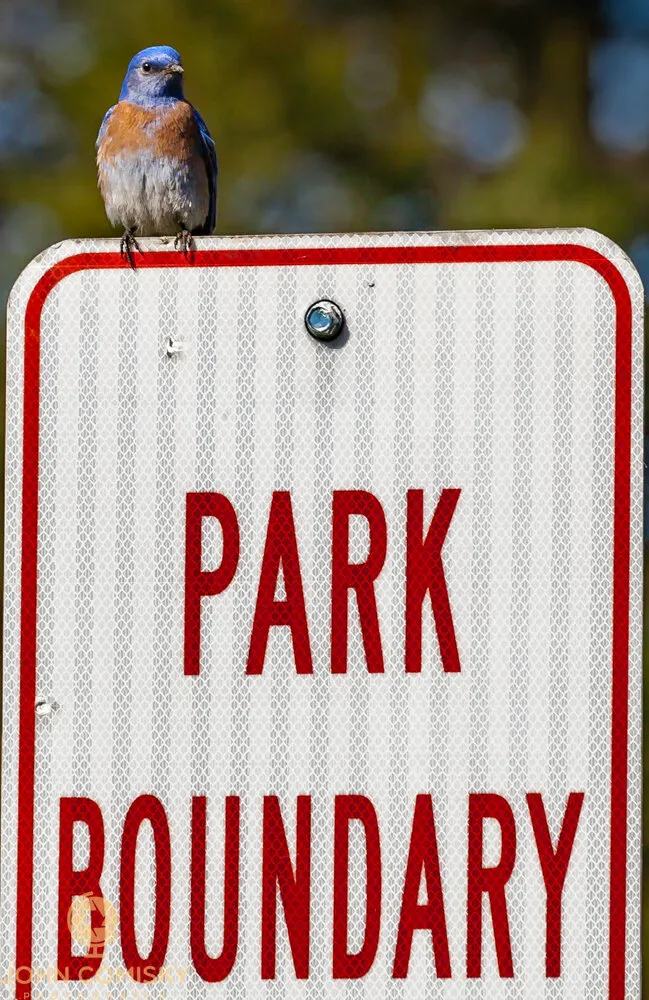 Entry 14697192