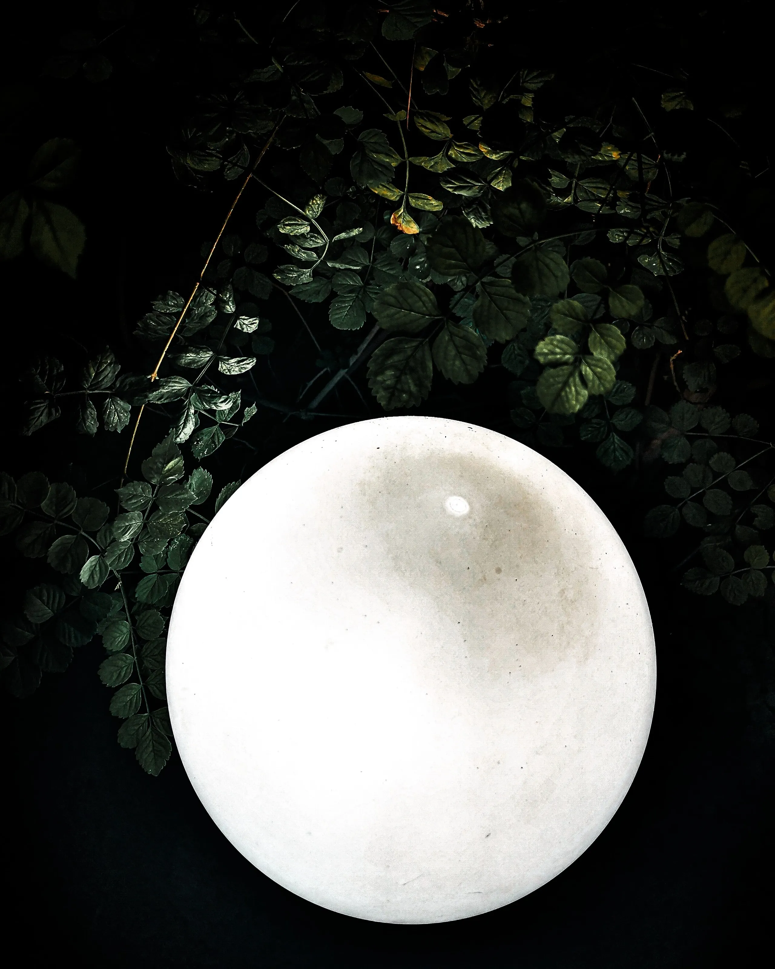 Stay wild moon child