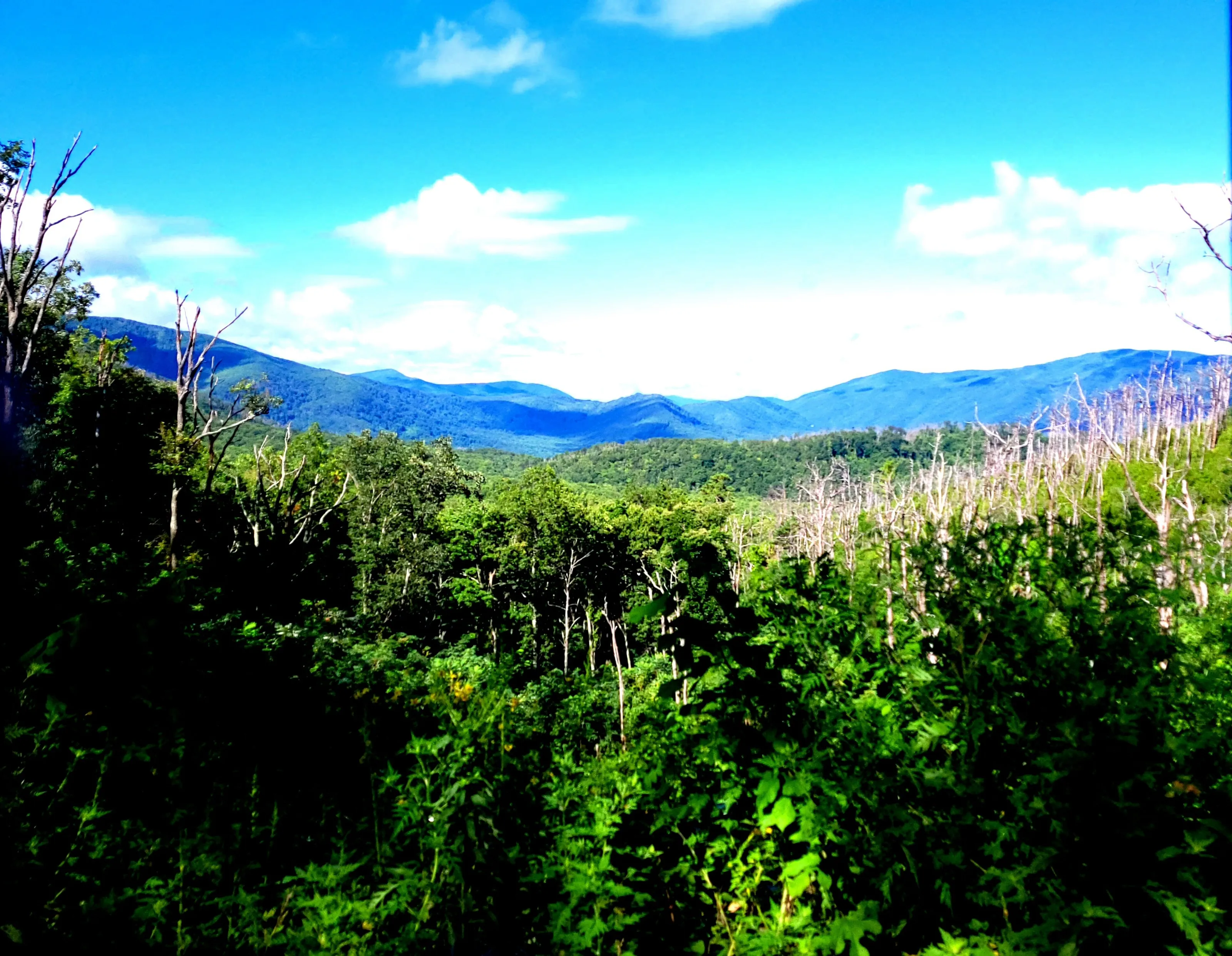 Overlook of the Smokies