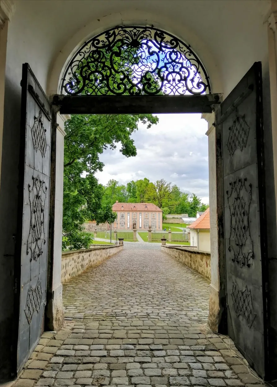 Entry 12034311
