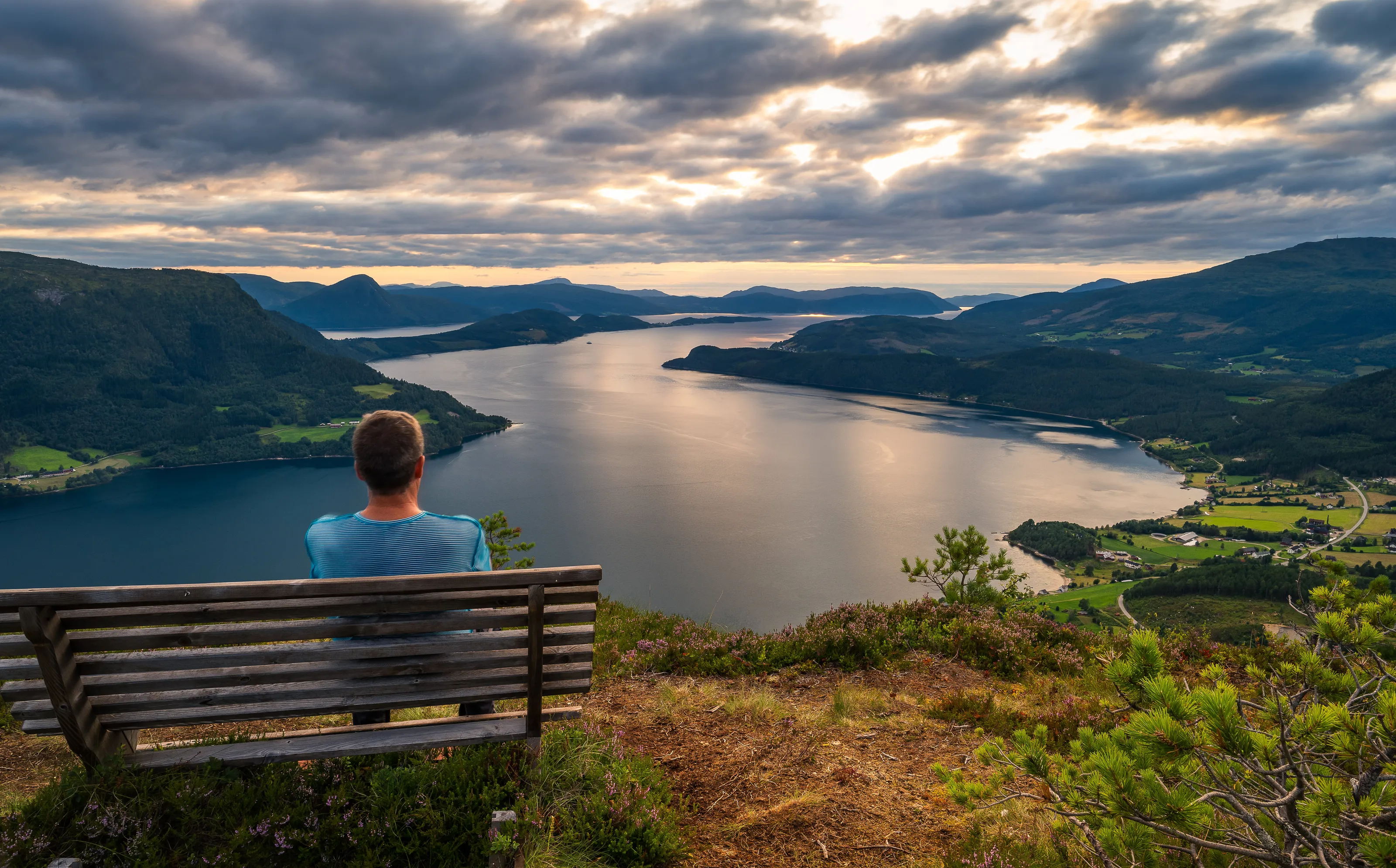 A bench with a view