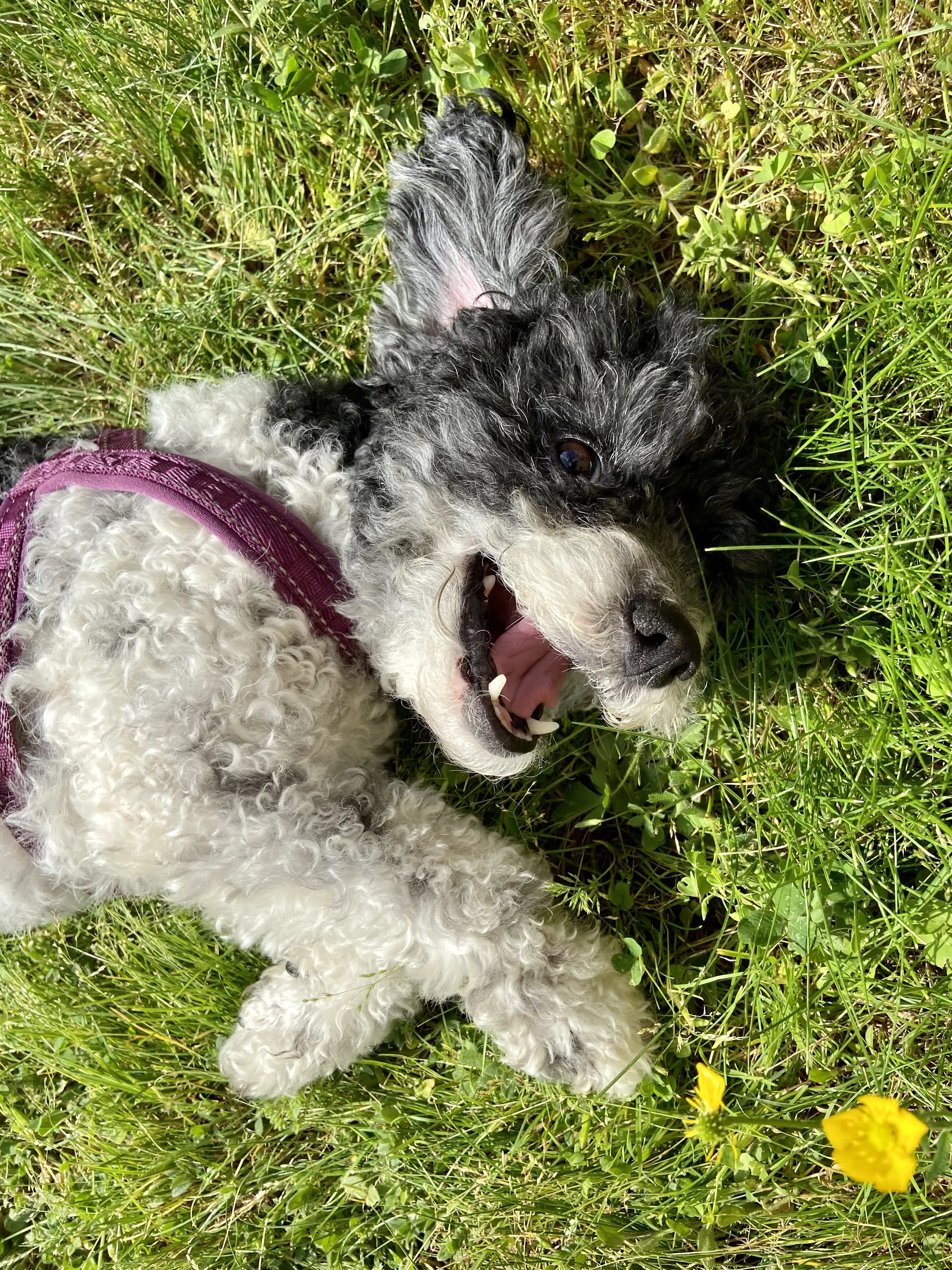 Sally loves the nature