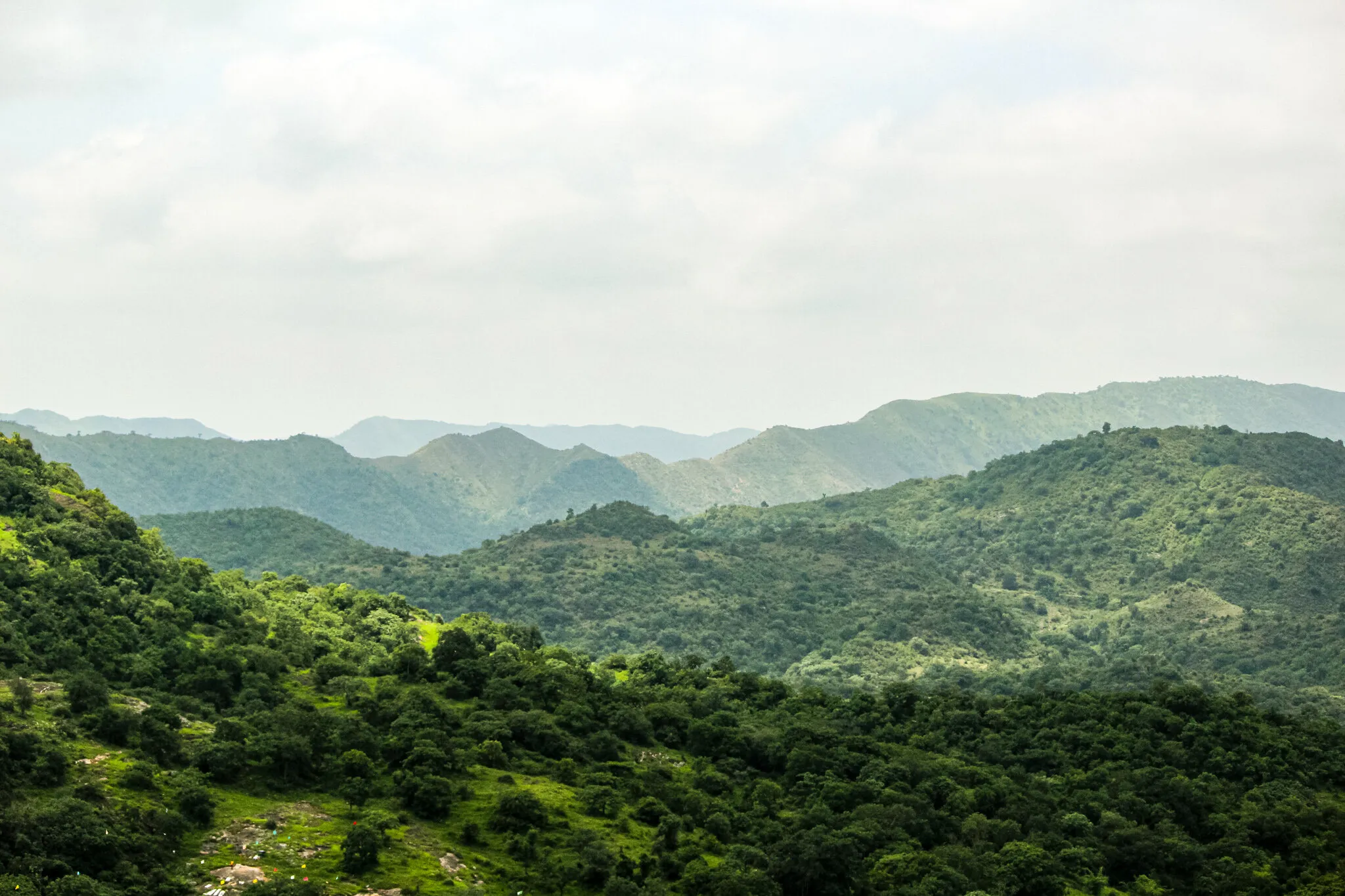 Green Shades of Nature