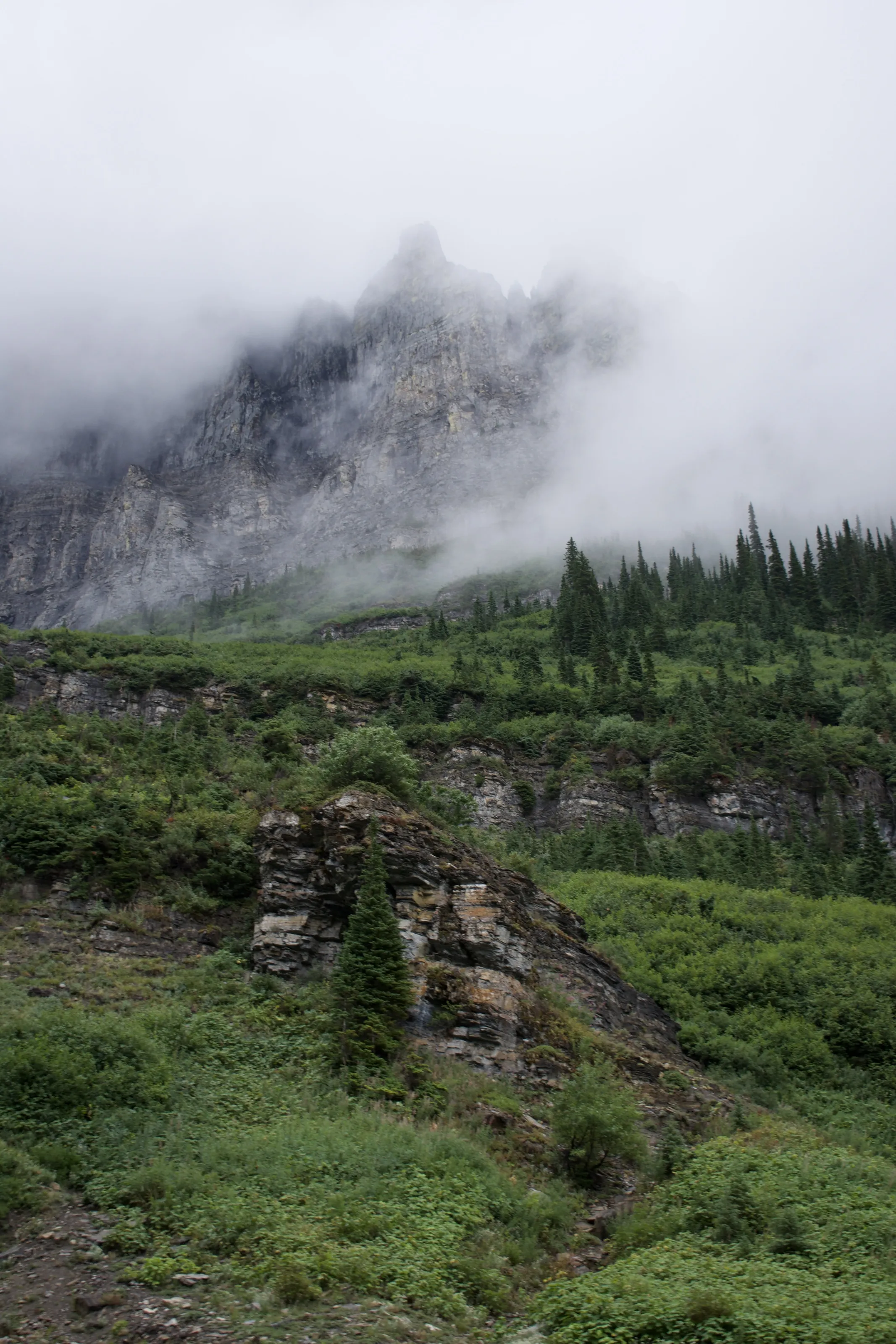 Foggy Mountain