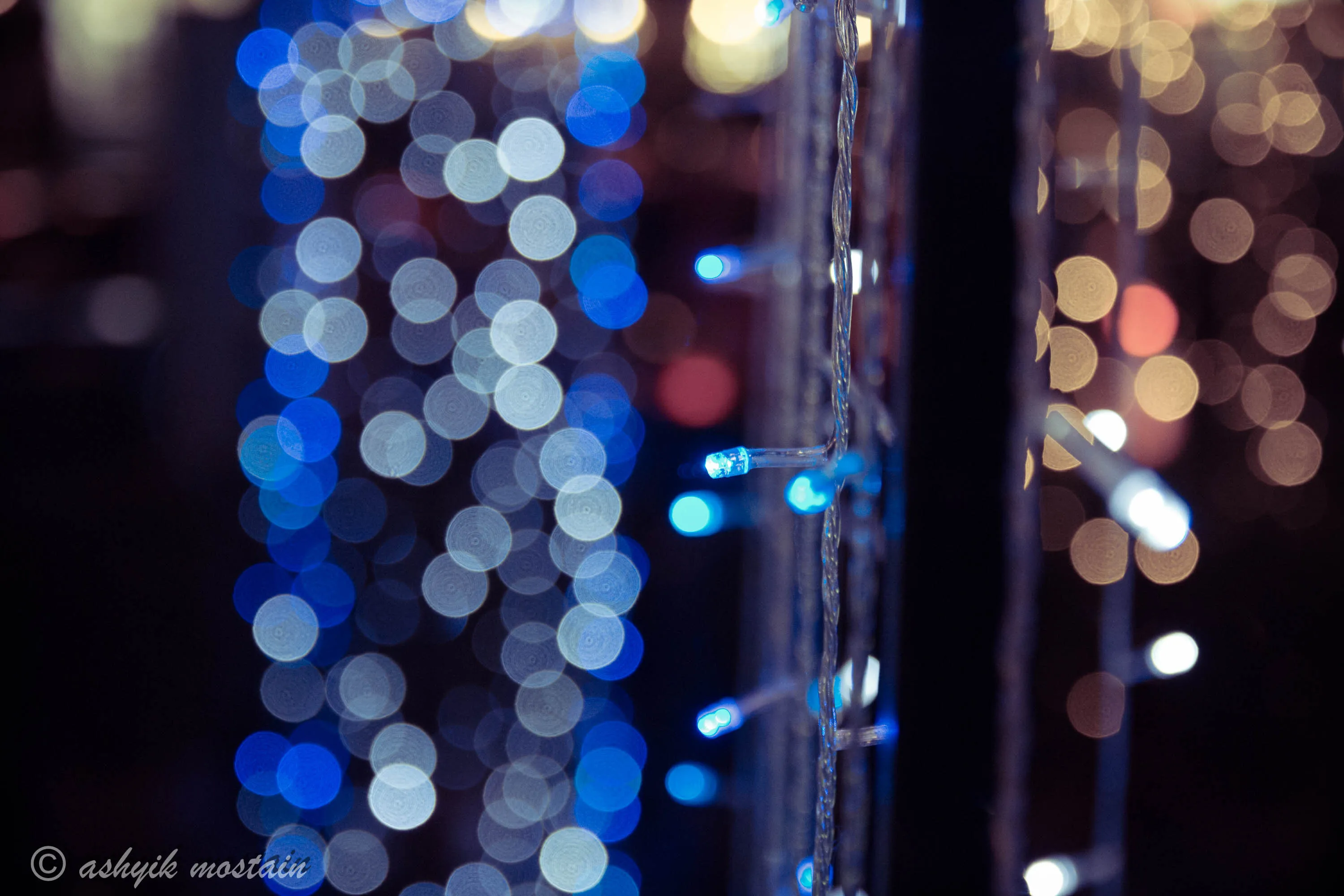 festive lights