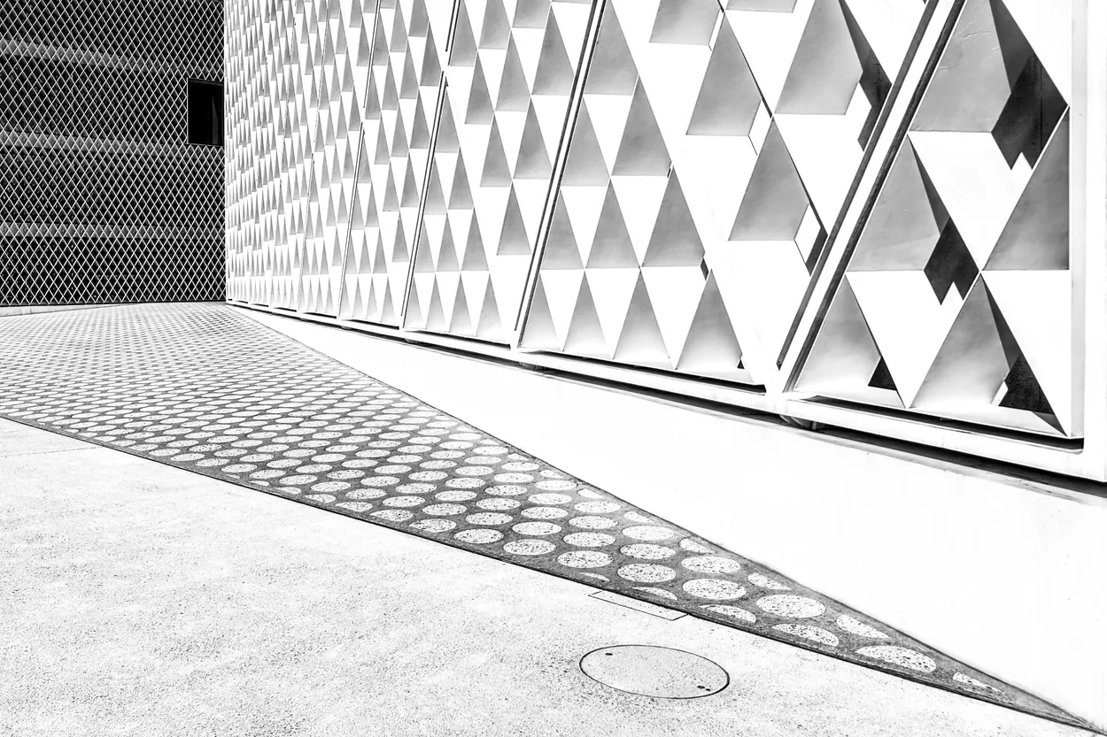 Entry 11011939