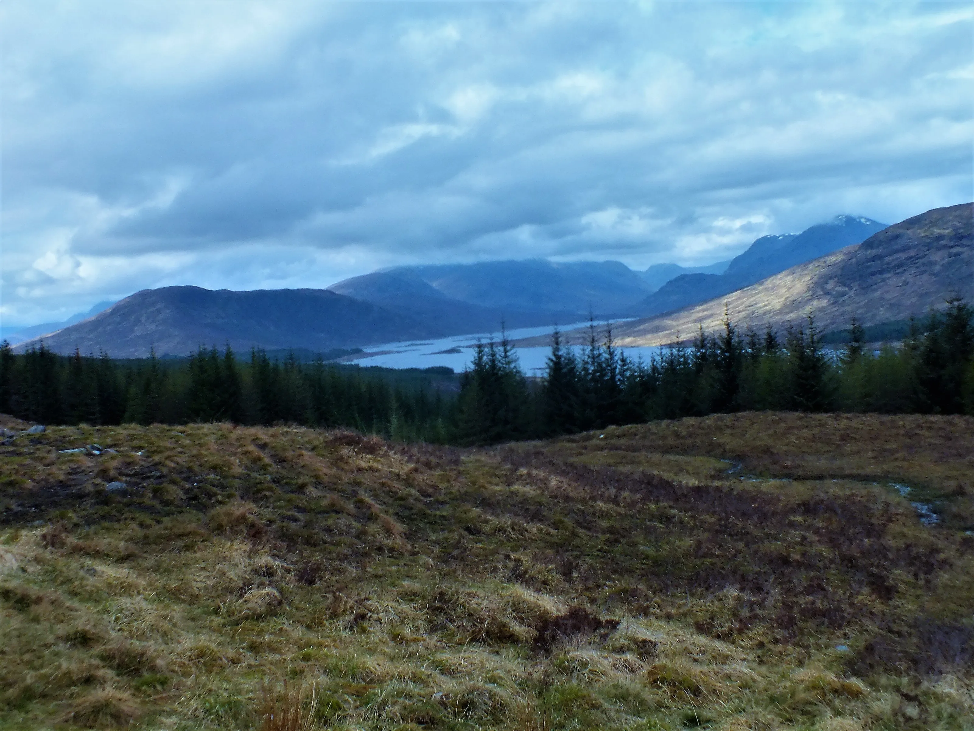 Scottish Highland mountain's