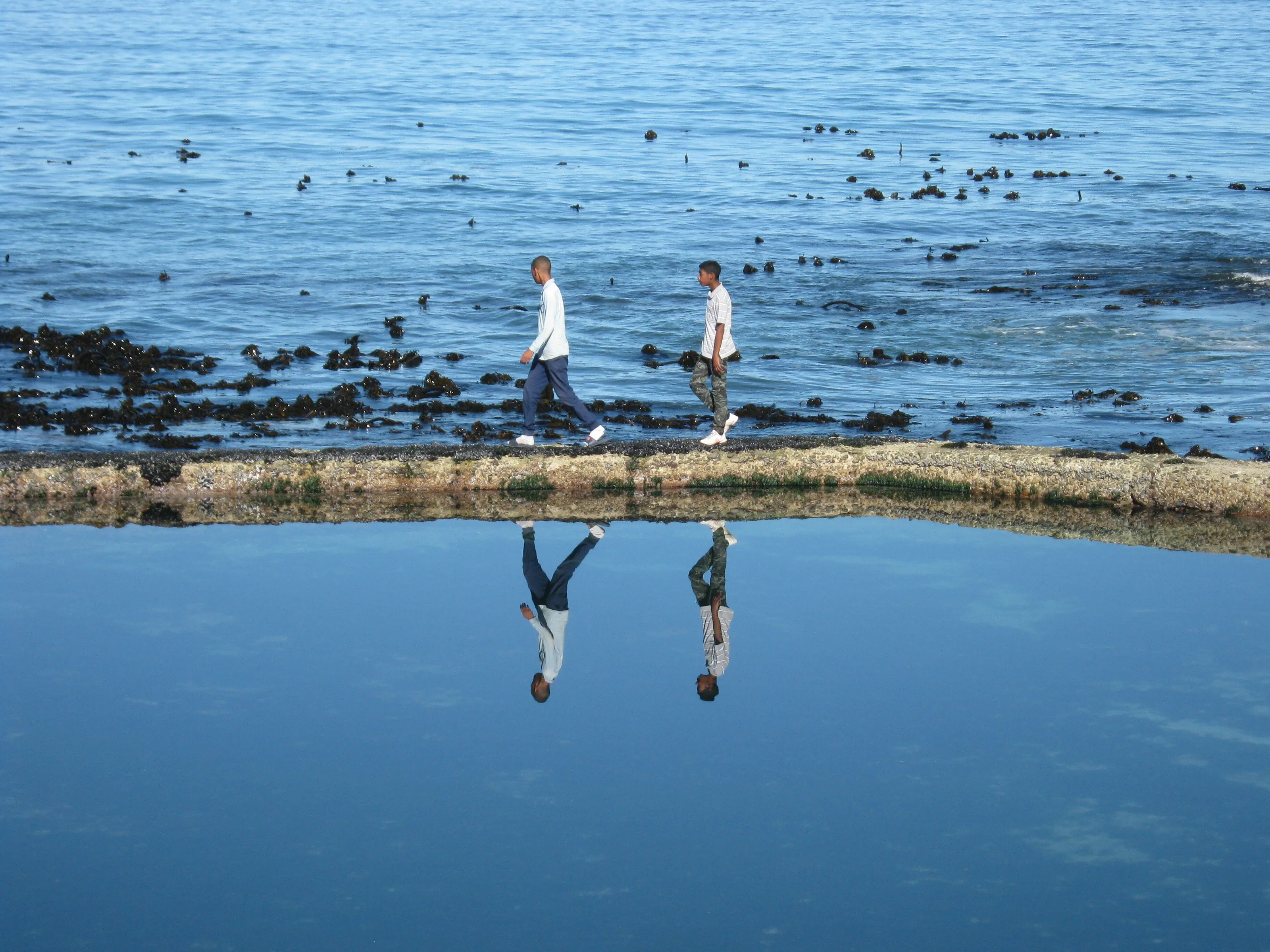 Reflections