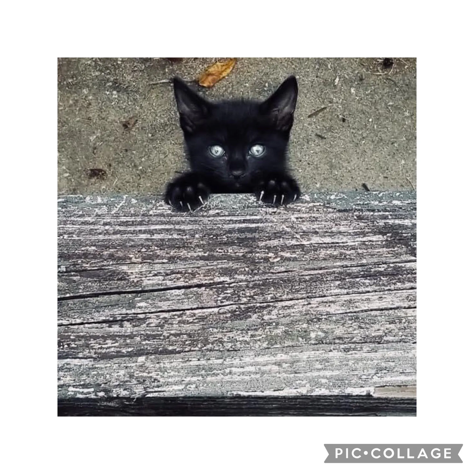 Hang in There