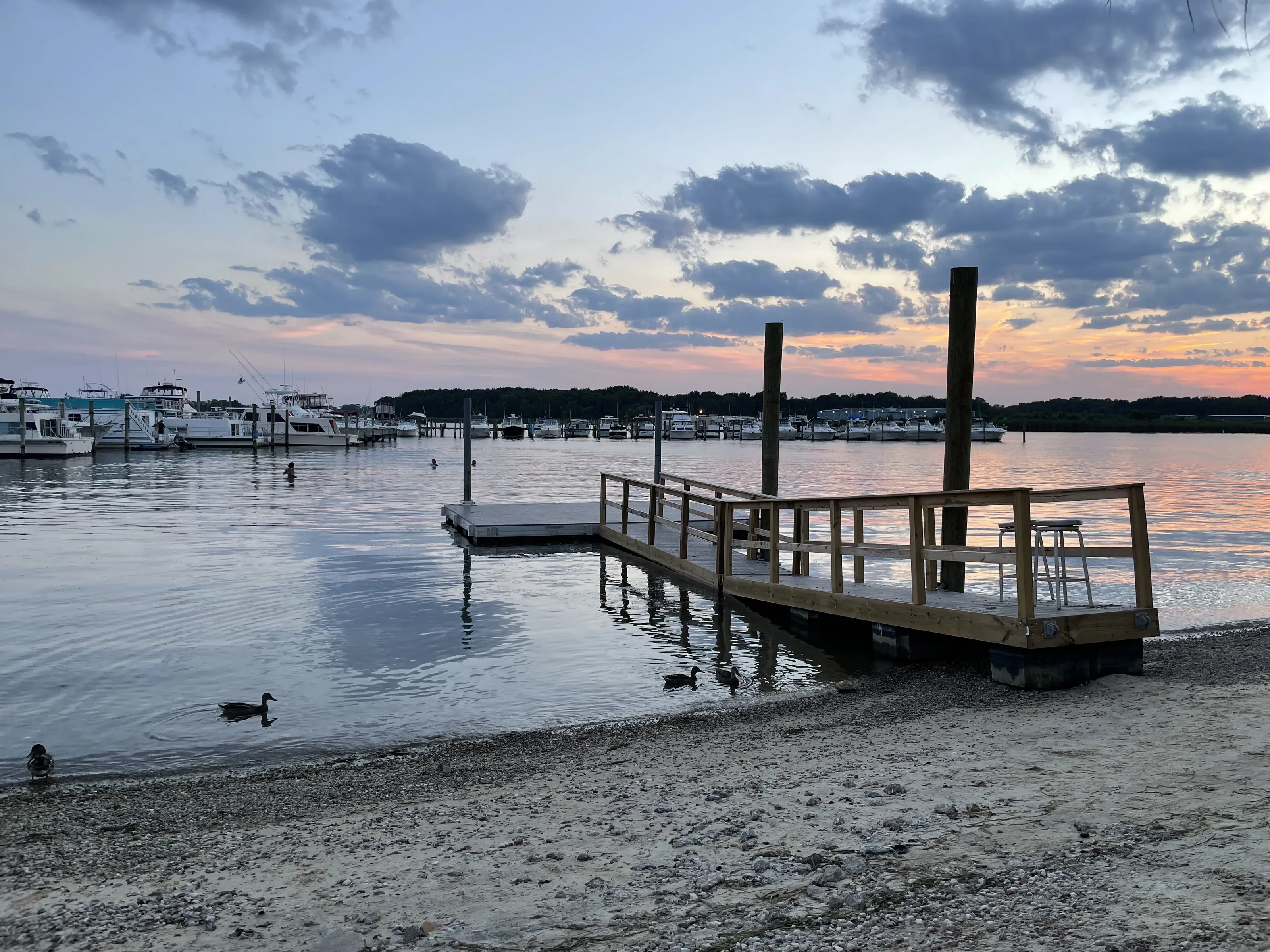 Marina at sunset