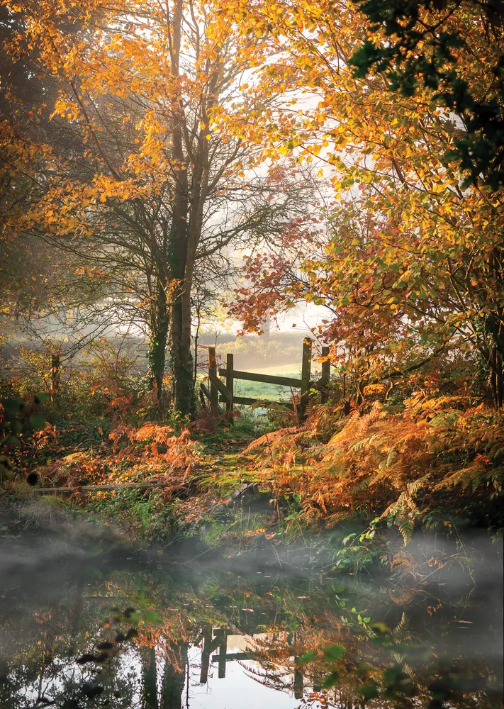 Autumn mist