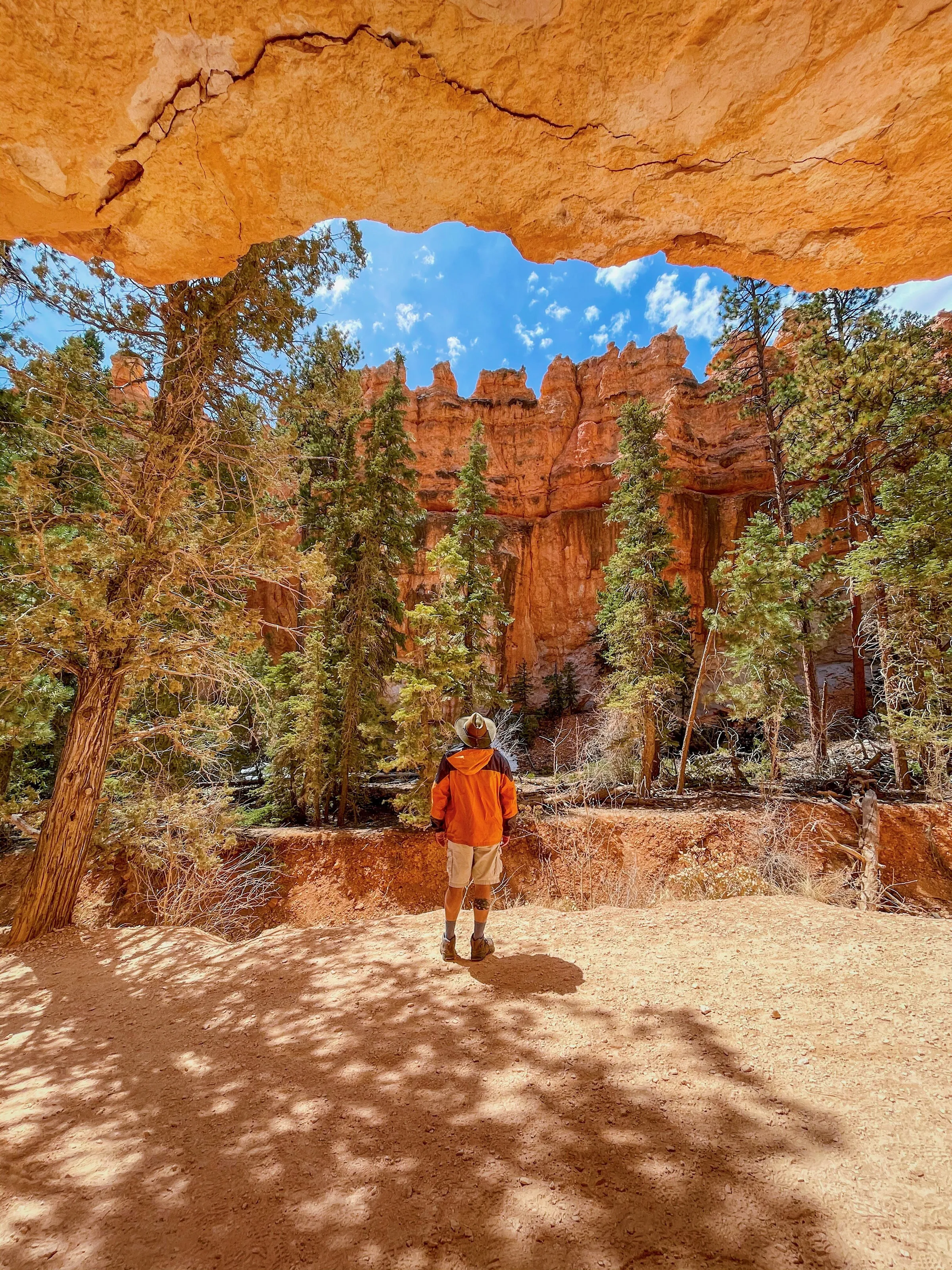 Hiker's Daydream