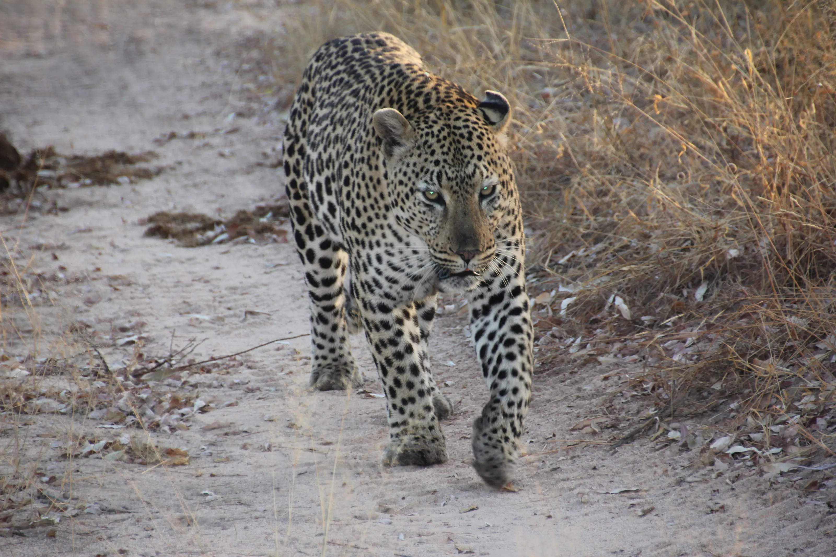 On the move