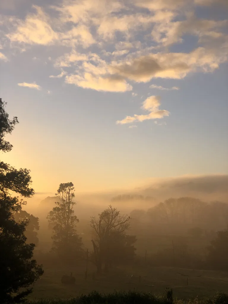 Day 7 Sunrise in Lockdown