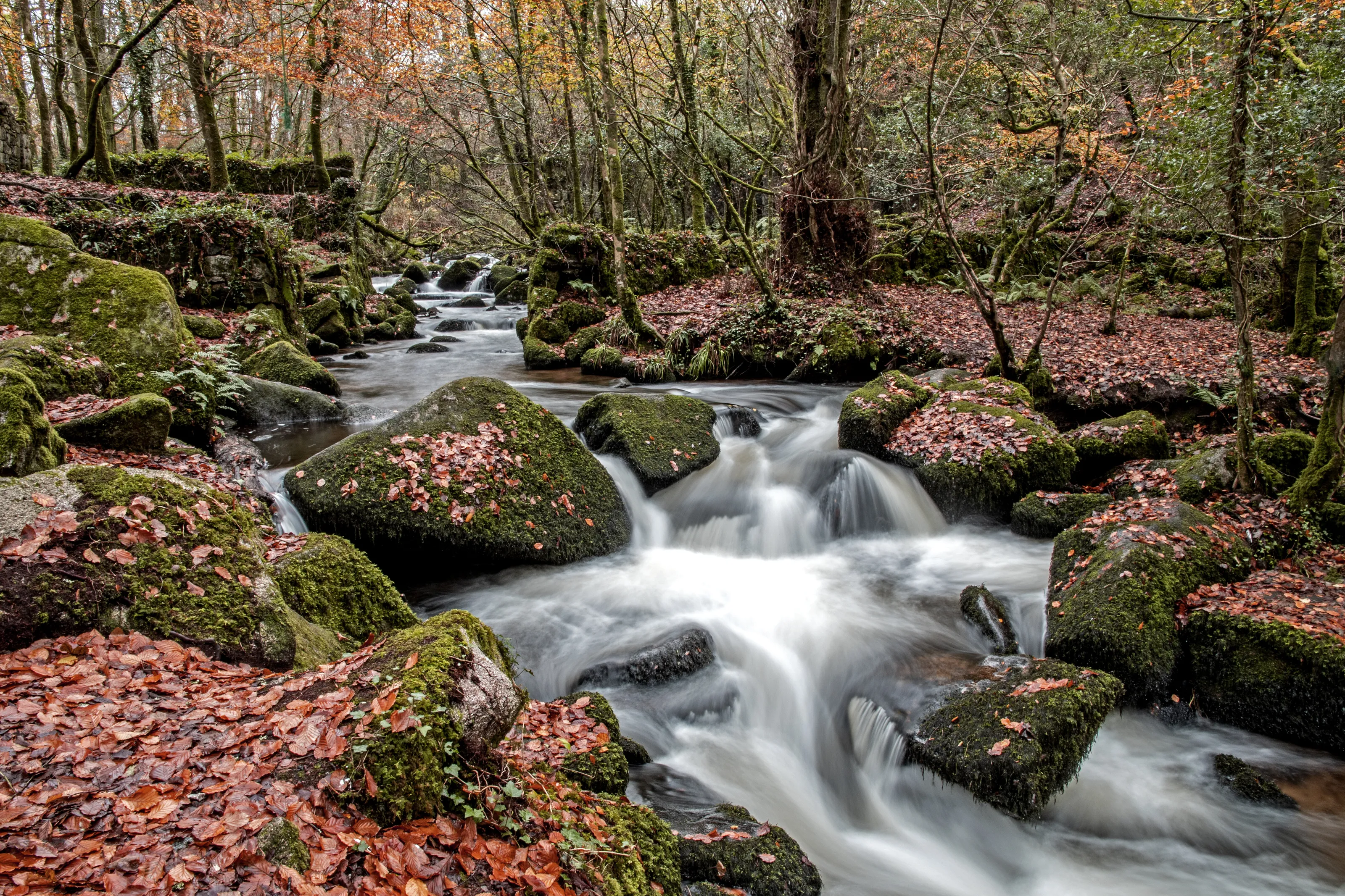 Kennall Vale