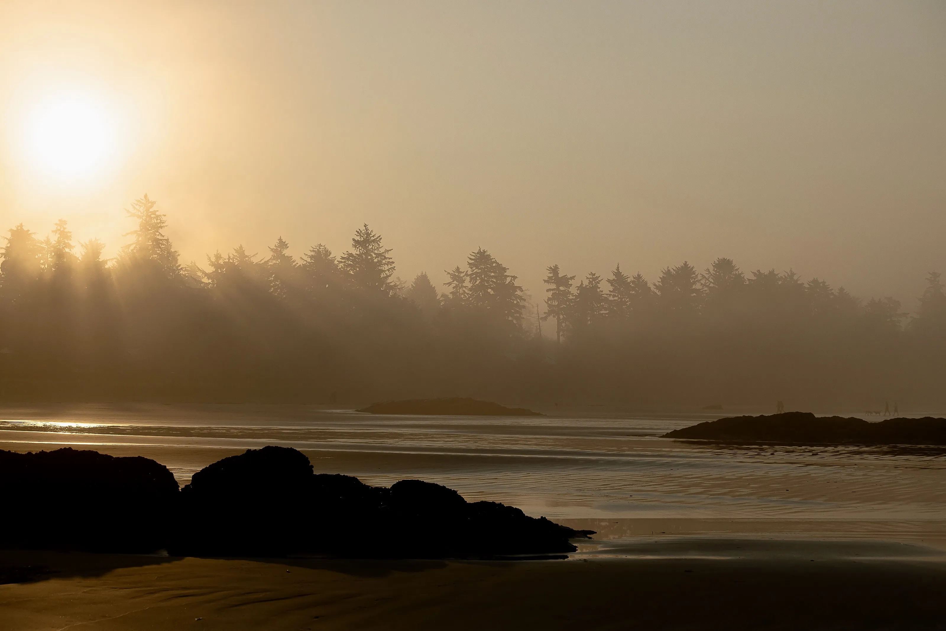 Tofino…
