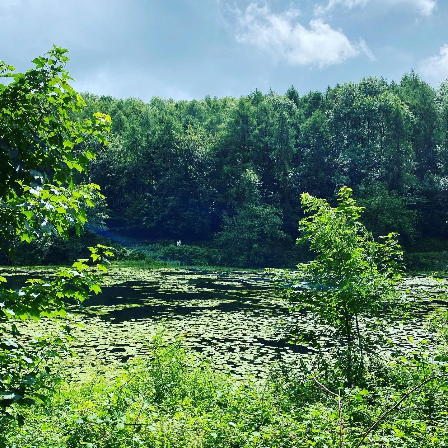 Tortworth Lake