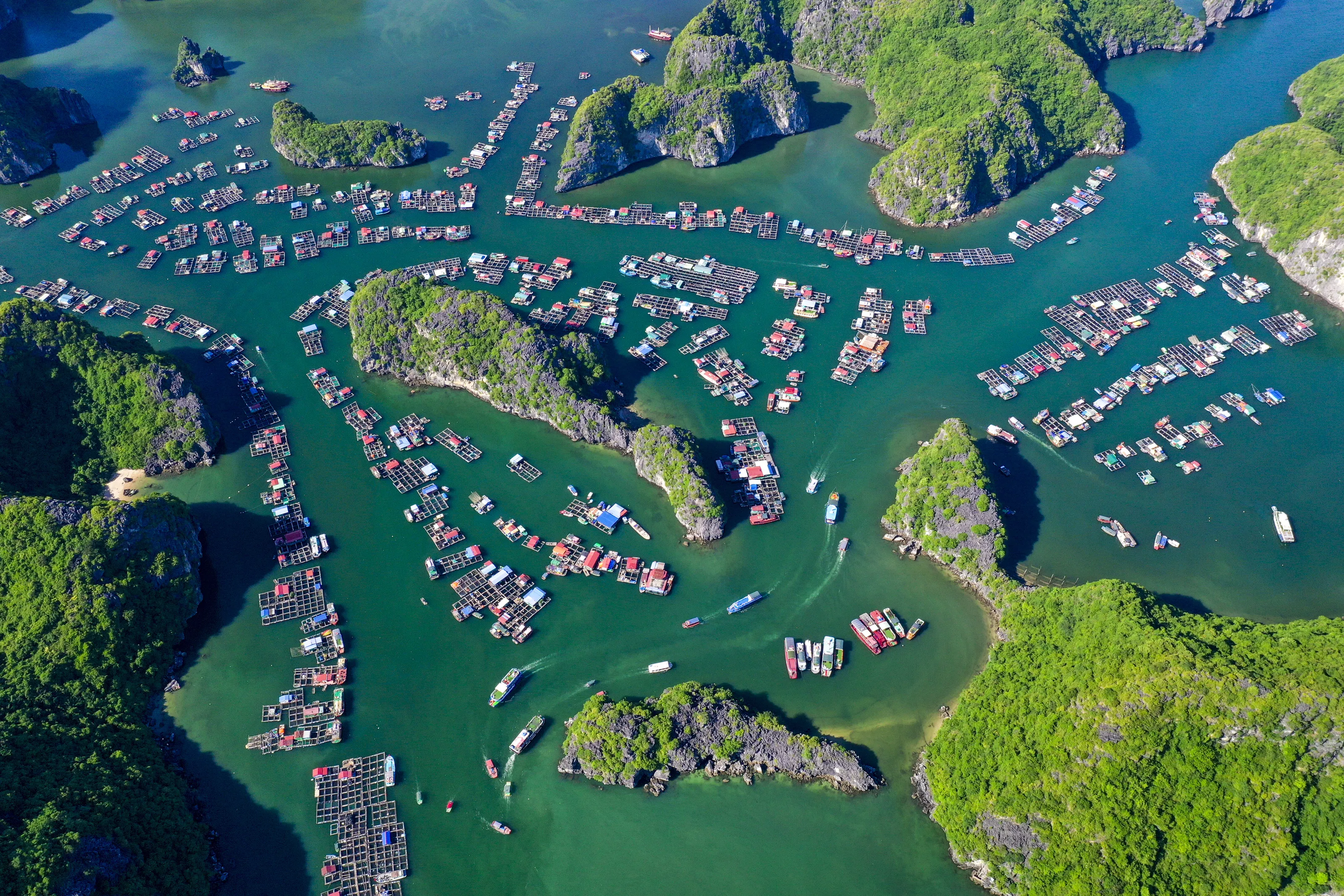 Cai Beo fishing village on Lan Ha Bay