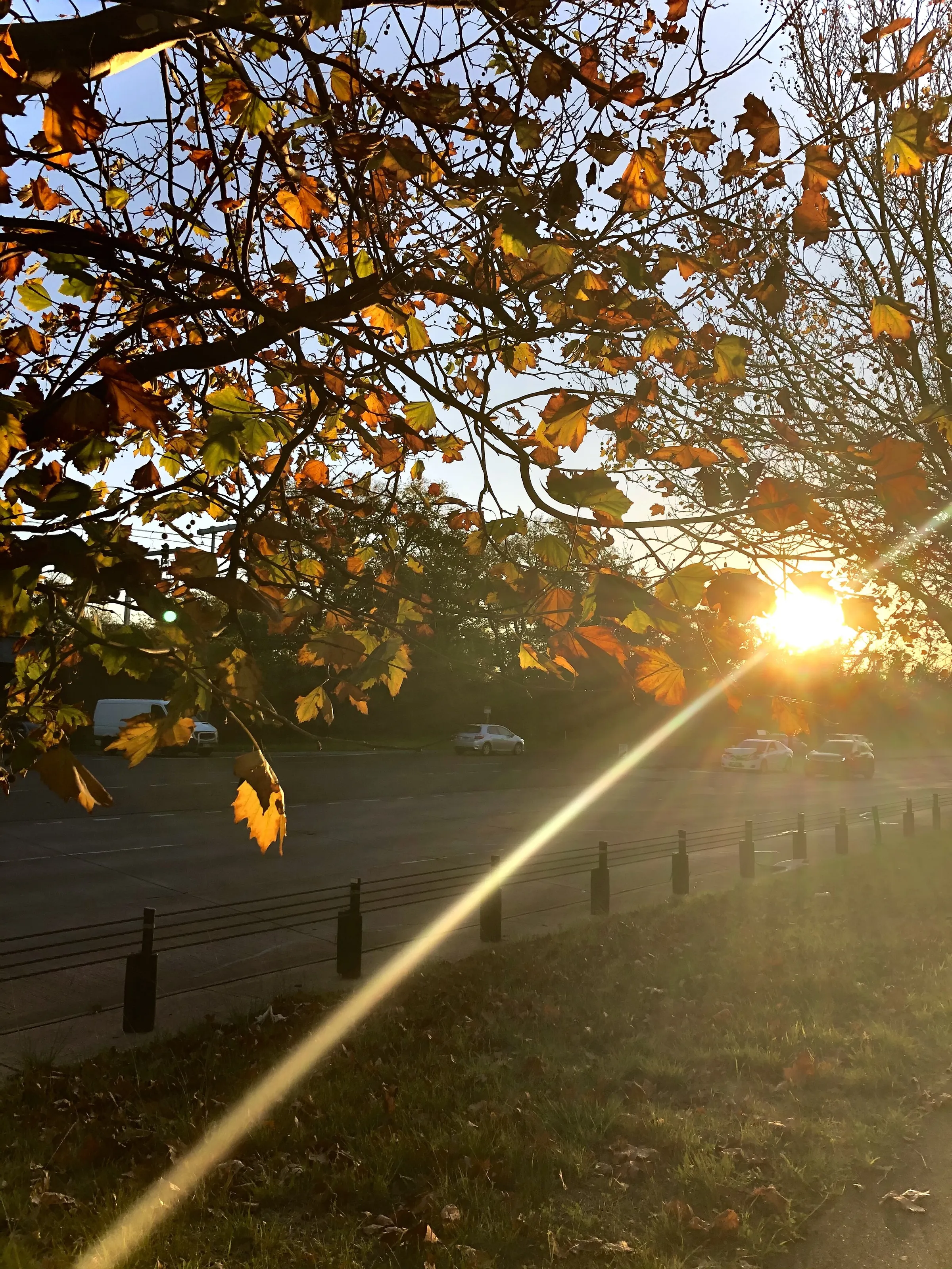 Evening Walk
