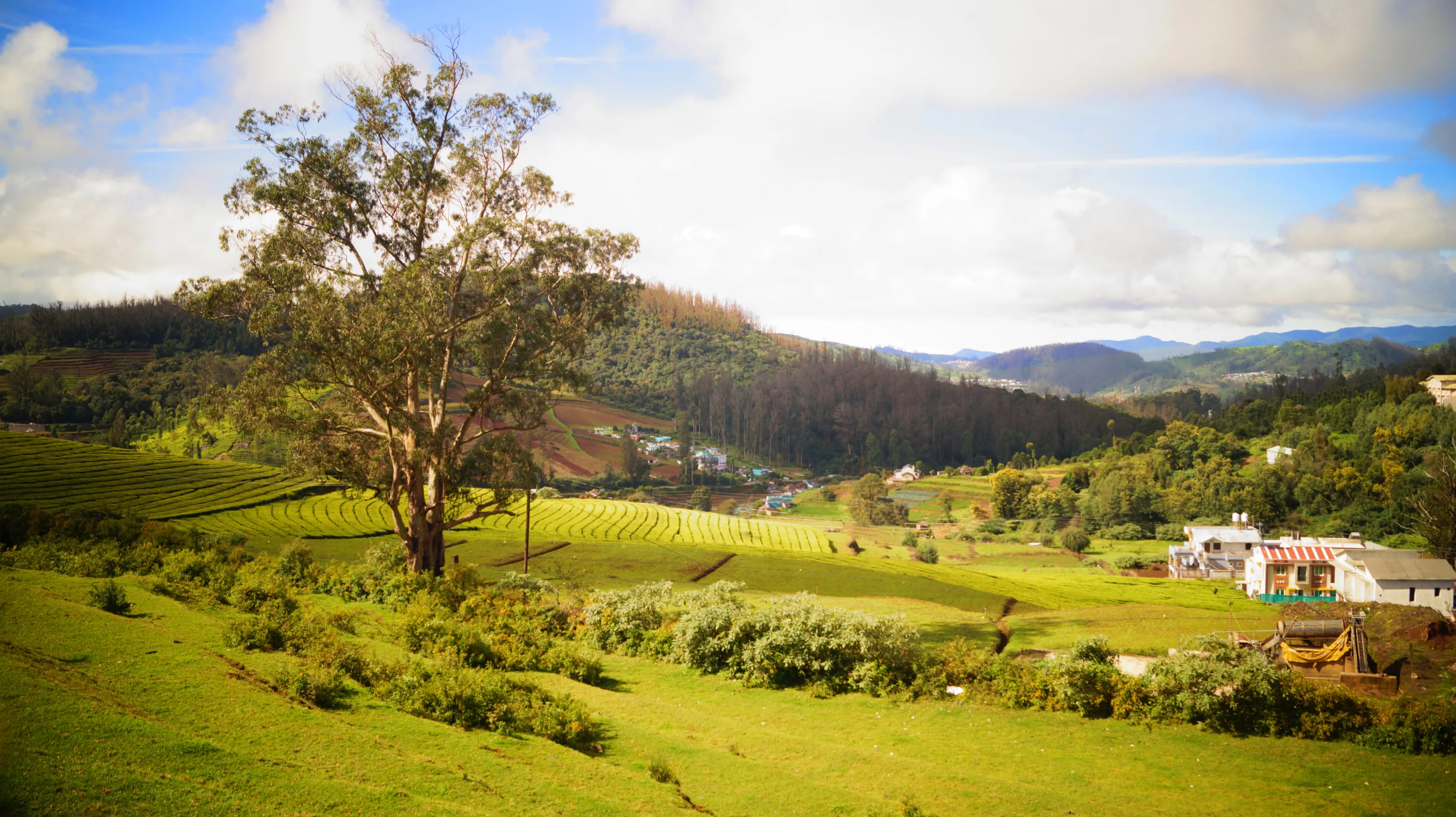 Ooty (Udhagamandalam Ootacamund), Tamil Nadu, India