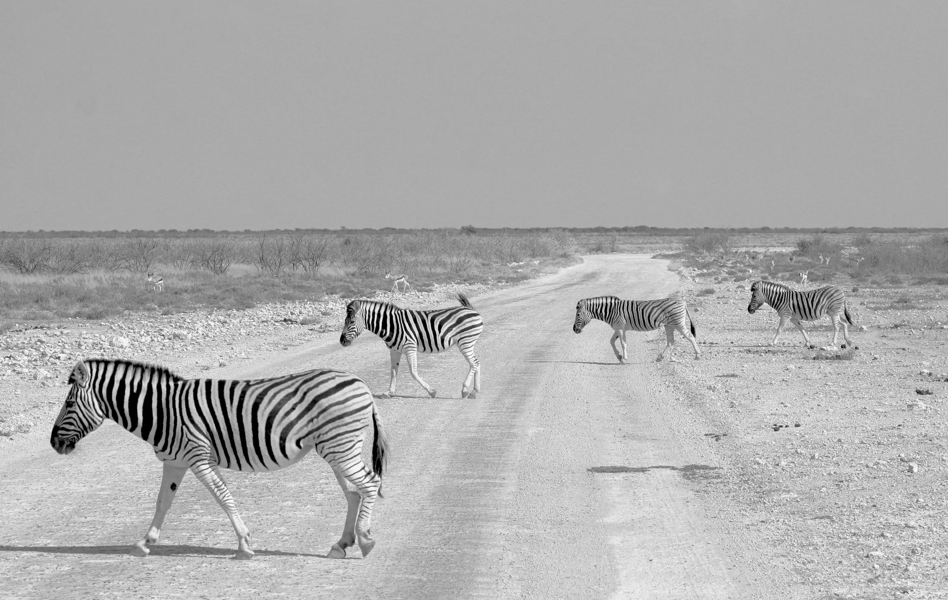 Zebra crossing