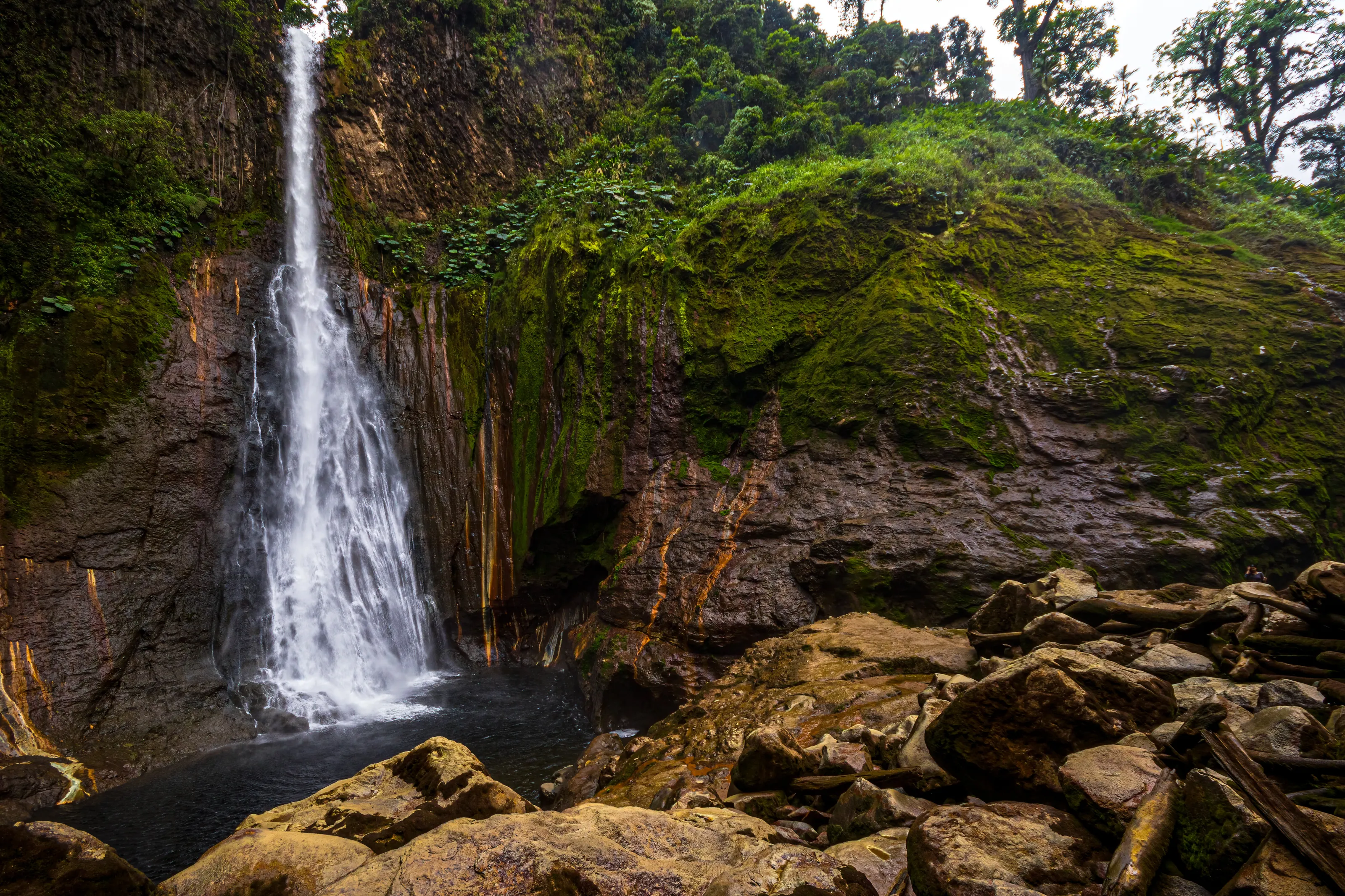 Catarata del toro