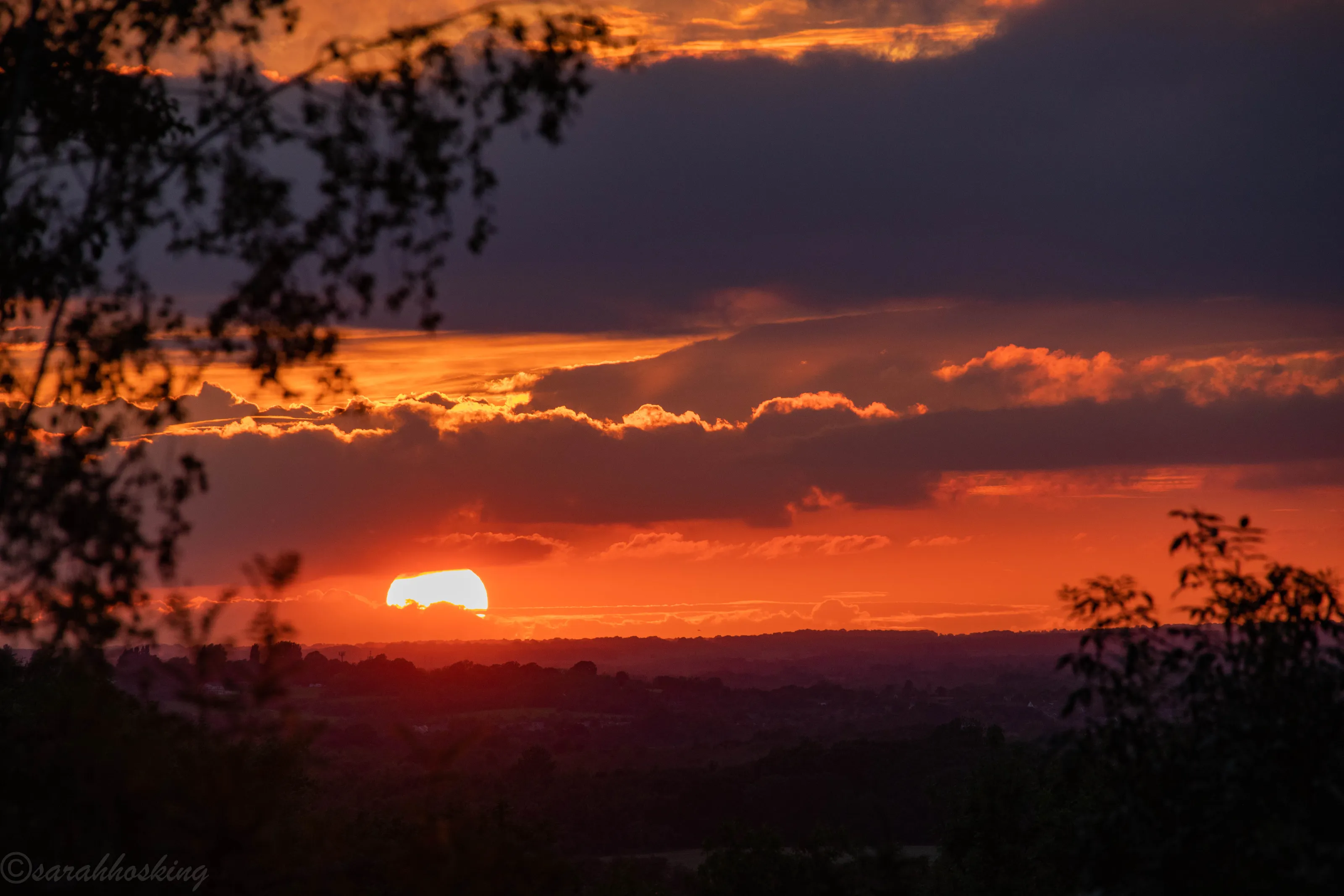 August Sunset