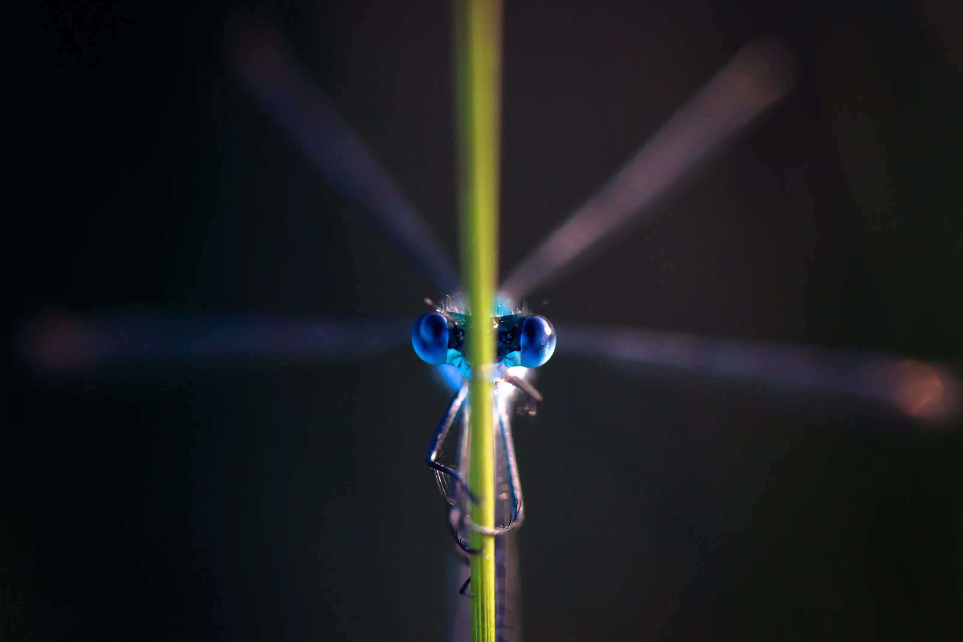 Face to face