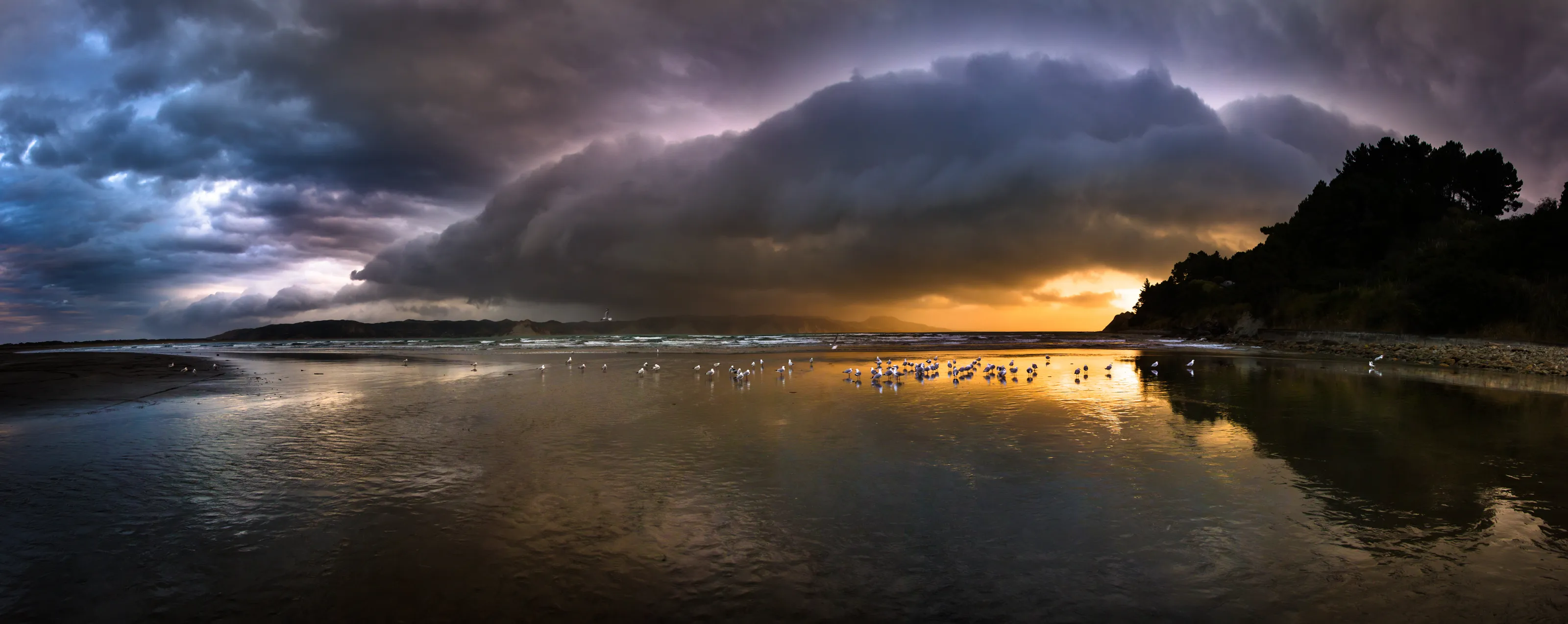 Before the storm