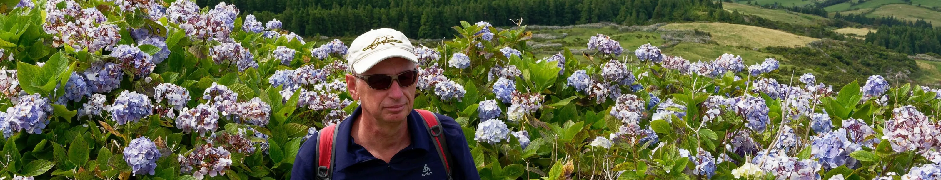 Amidst hydrangeas