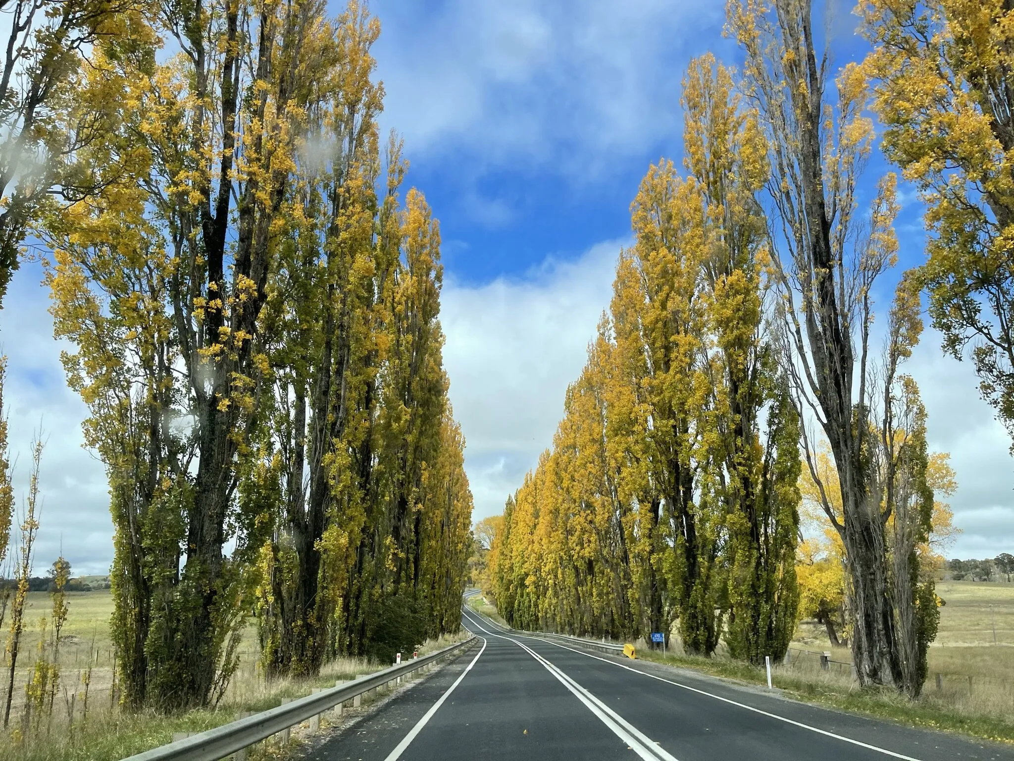 Autumn vibes