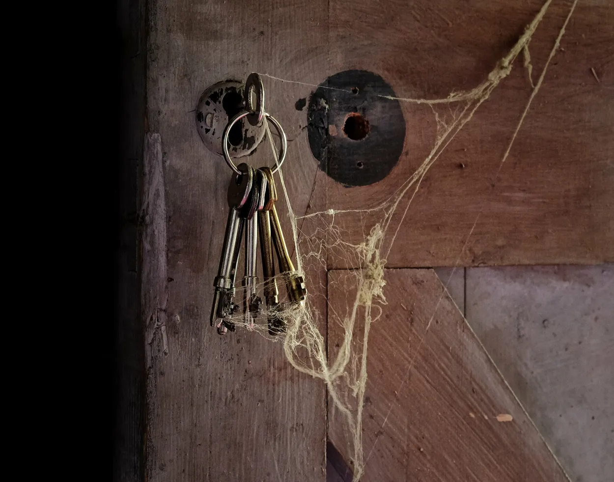 Entry 21270908