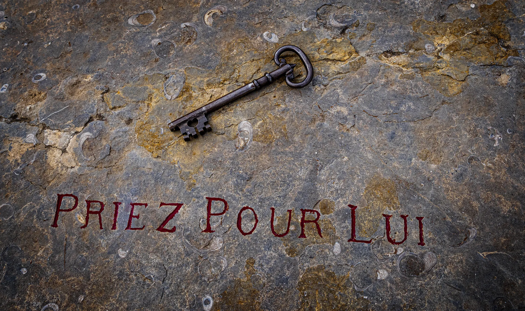 Entry 14130409